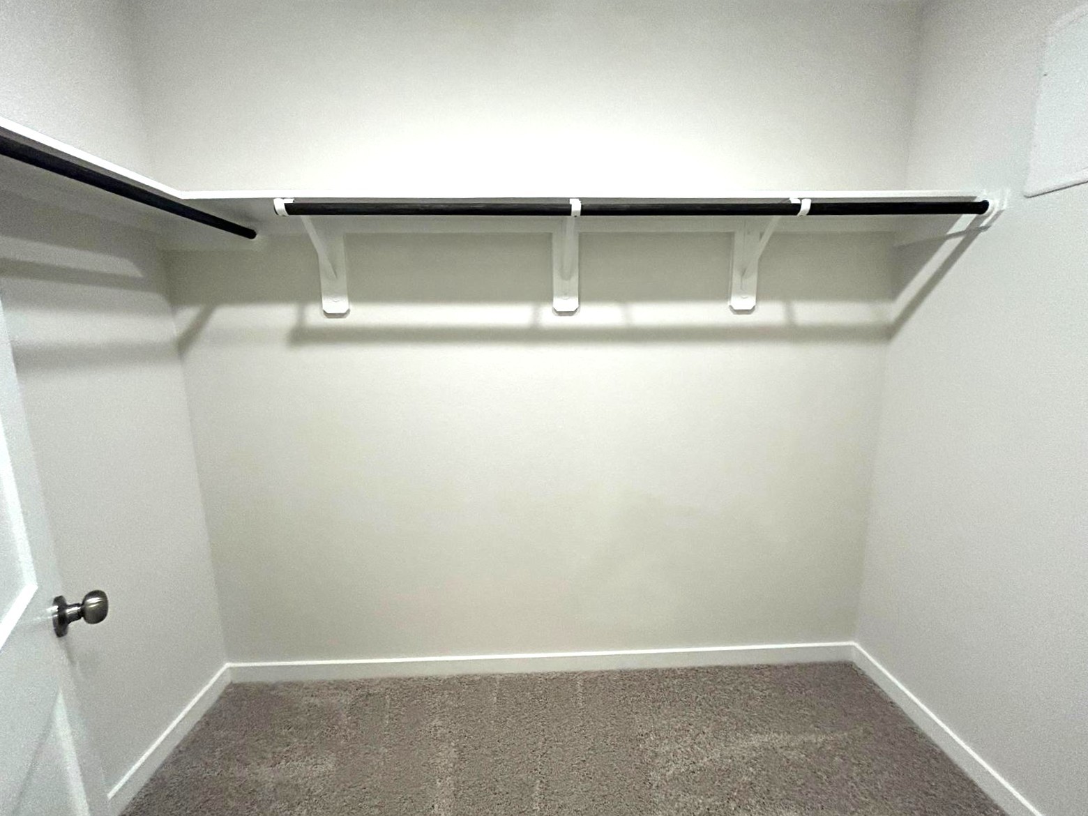 26223 Venus Trap Trail Property Photo 11