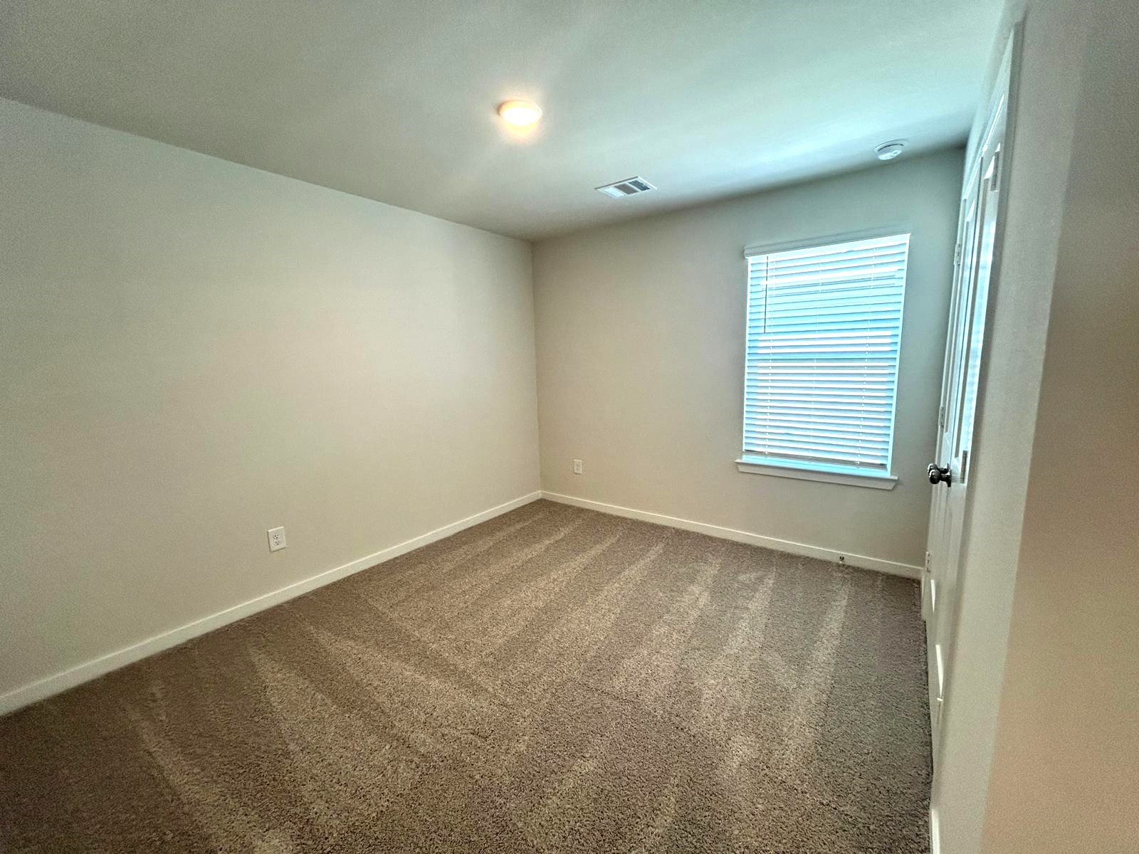 26223 Venus Trap Trail Property Photo 14