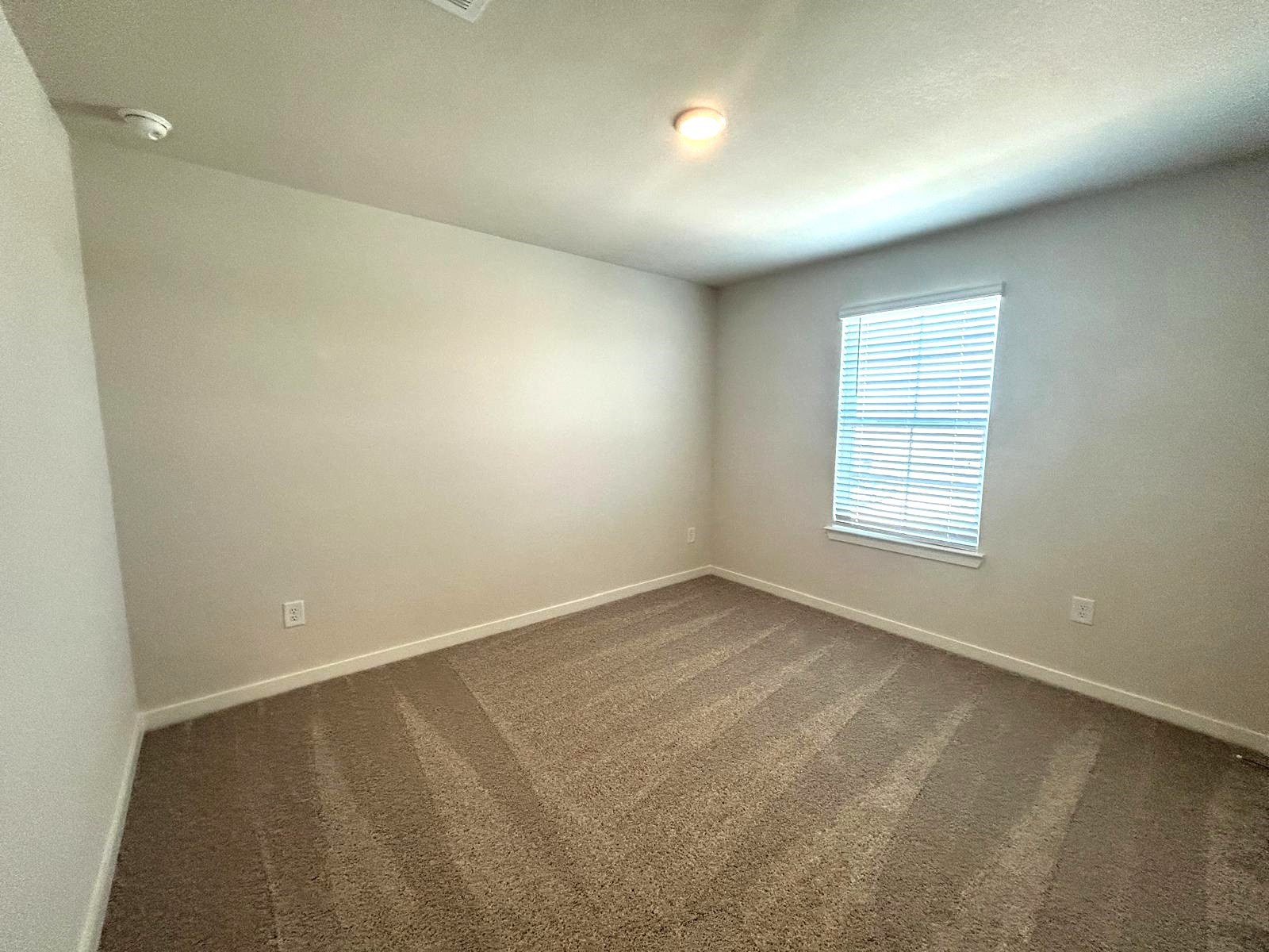 26223 Venus Trap Trail Property Photo 18