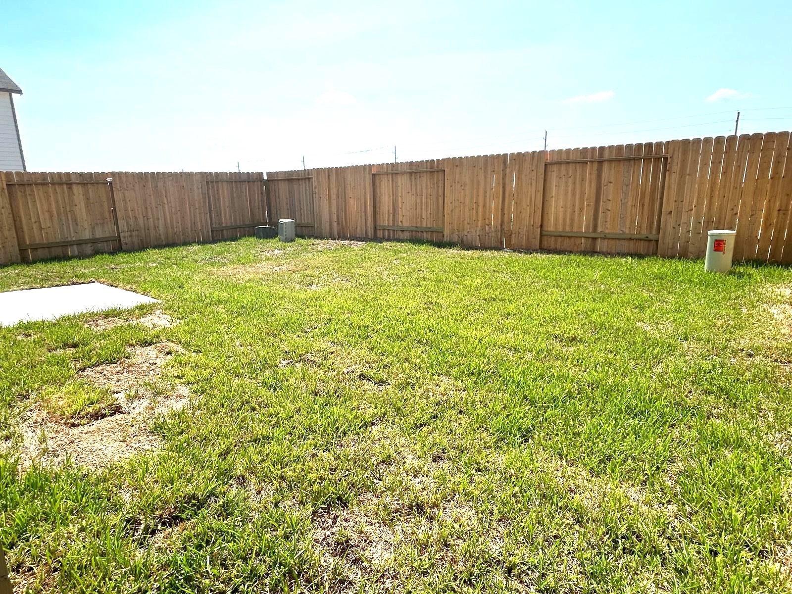 26223 Venus Trap Trail Property Photo 21