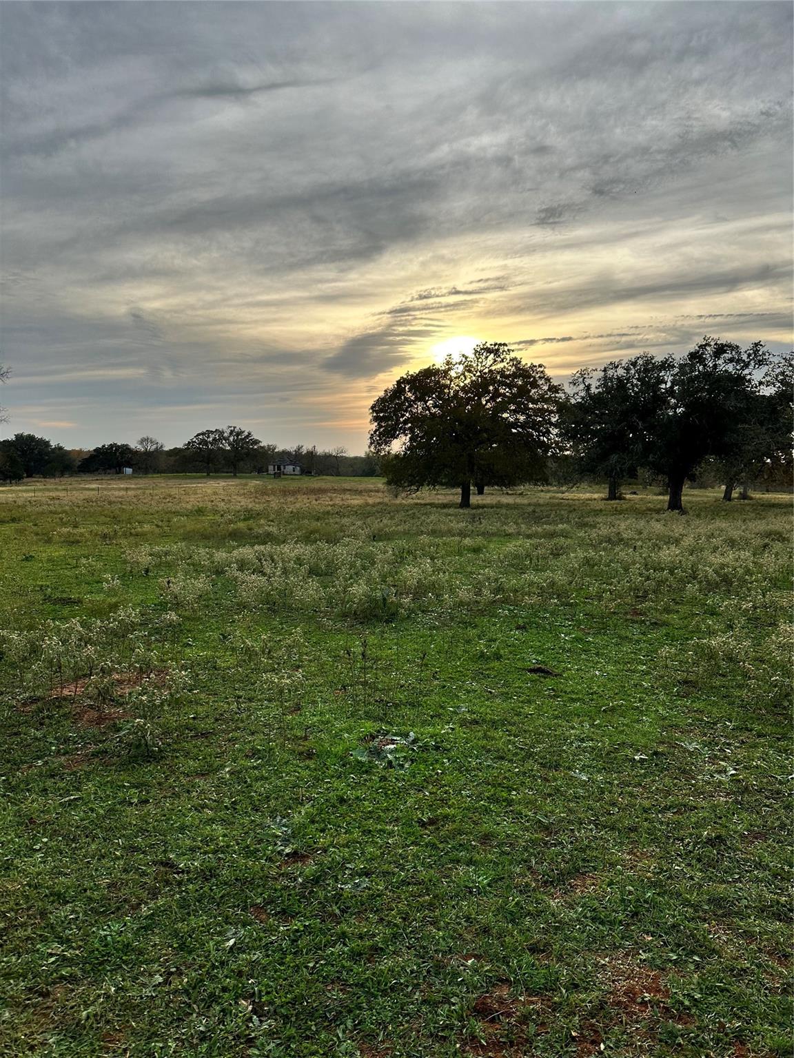Tbd E Us Hwy 90, Waelder Tx 78959 Property Photo 1