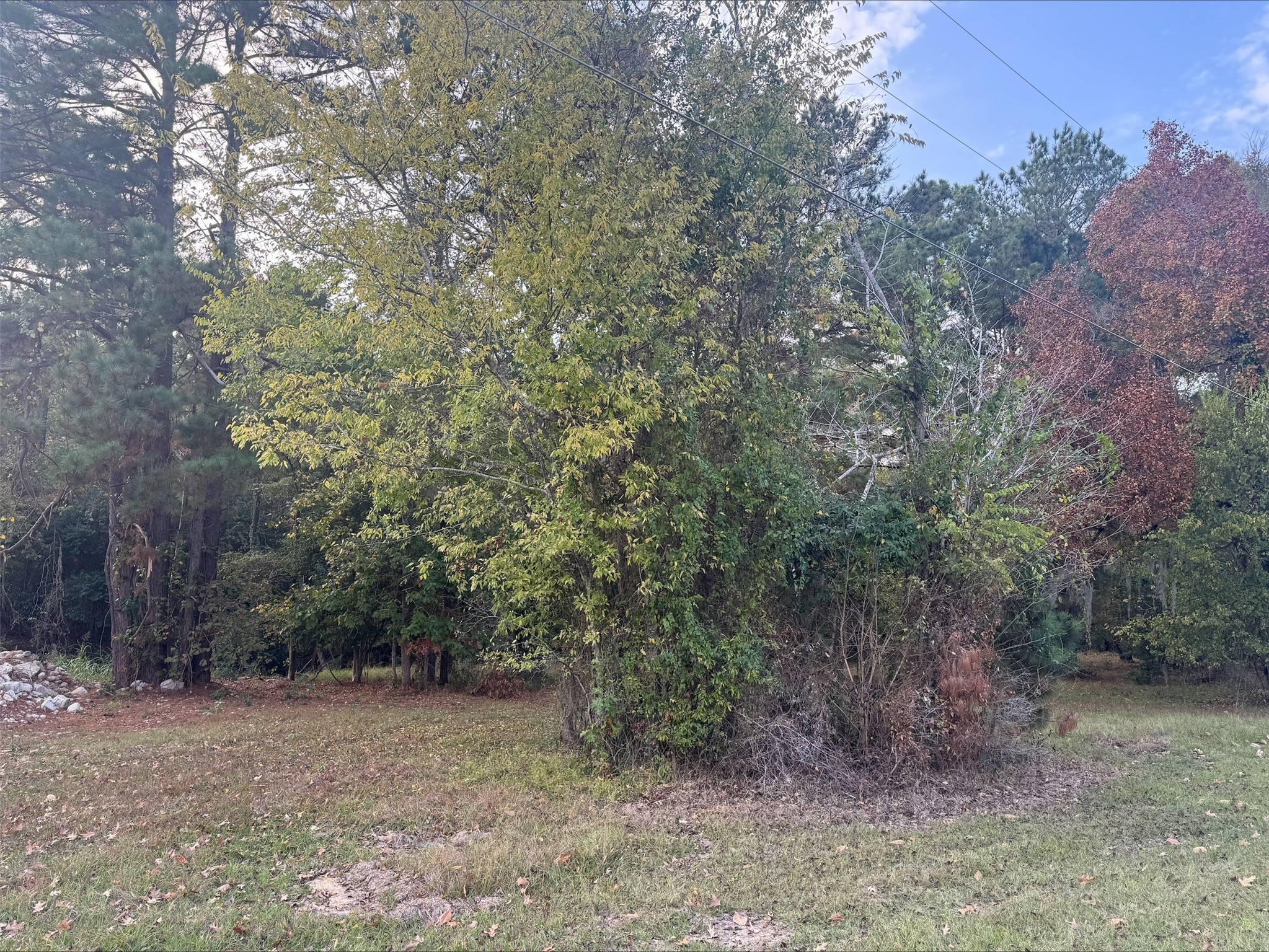 0 Silver Hickory Drive Property Photo 1