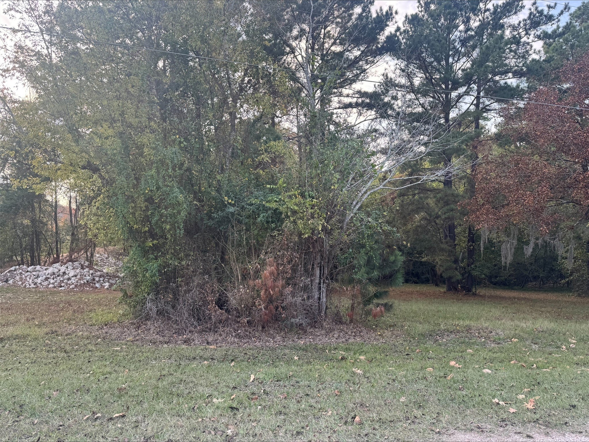 0 Silver Hickory Drive Property Photo 2