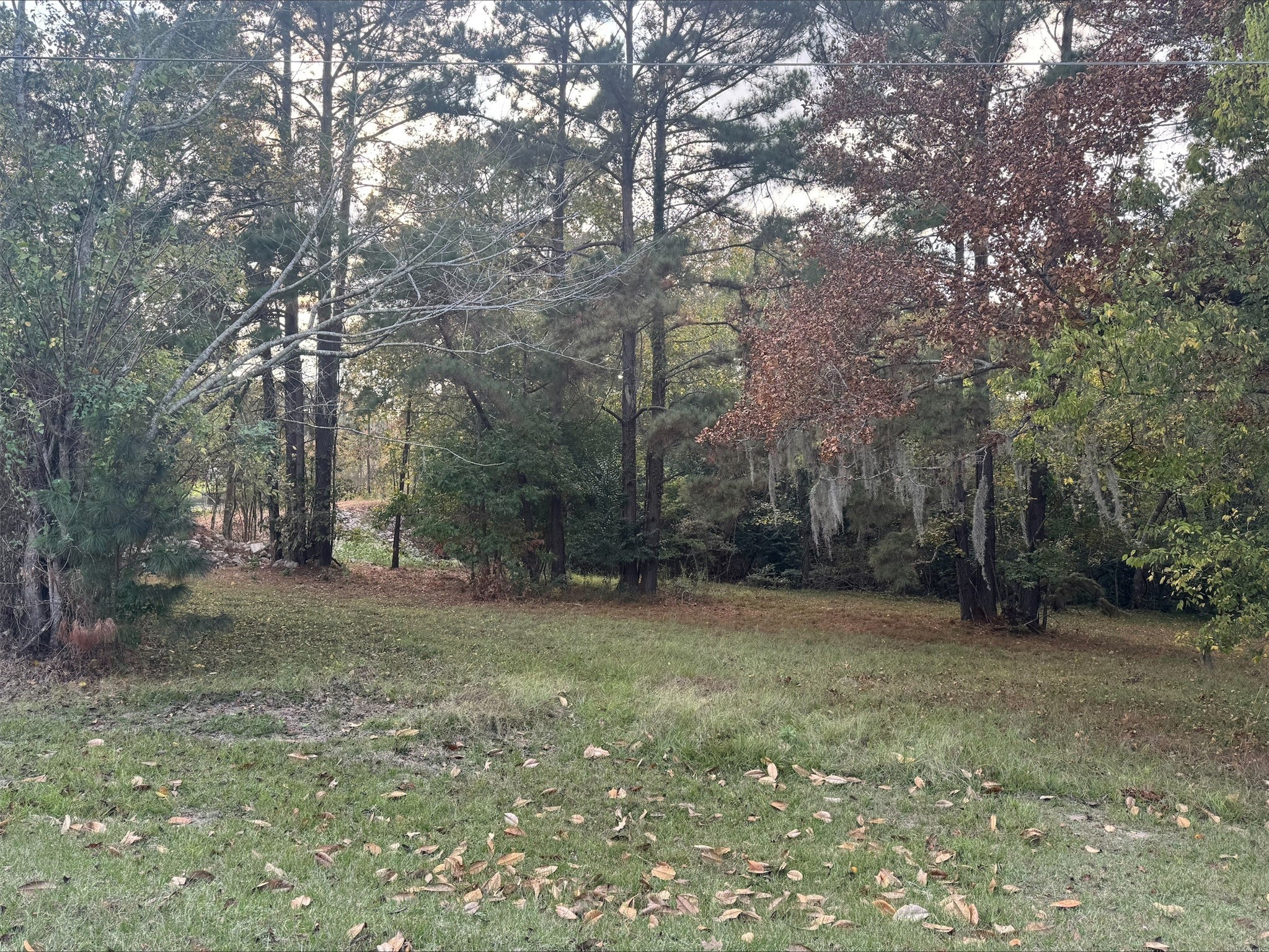 0 Silver Hickory Drive Property Photo 3