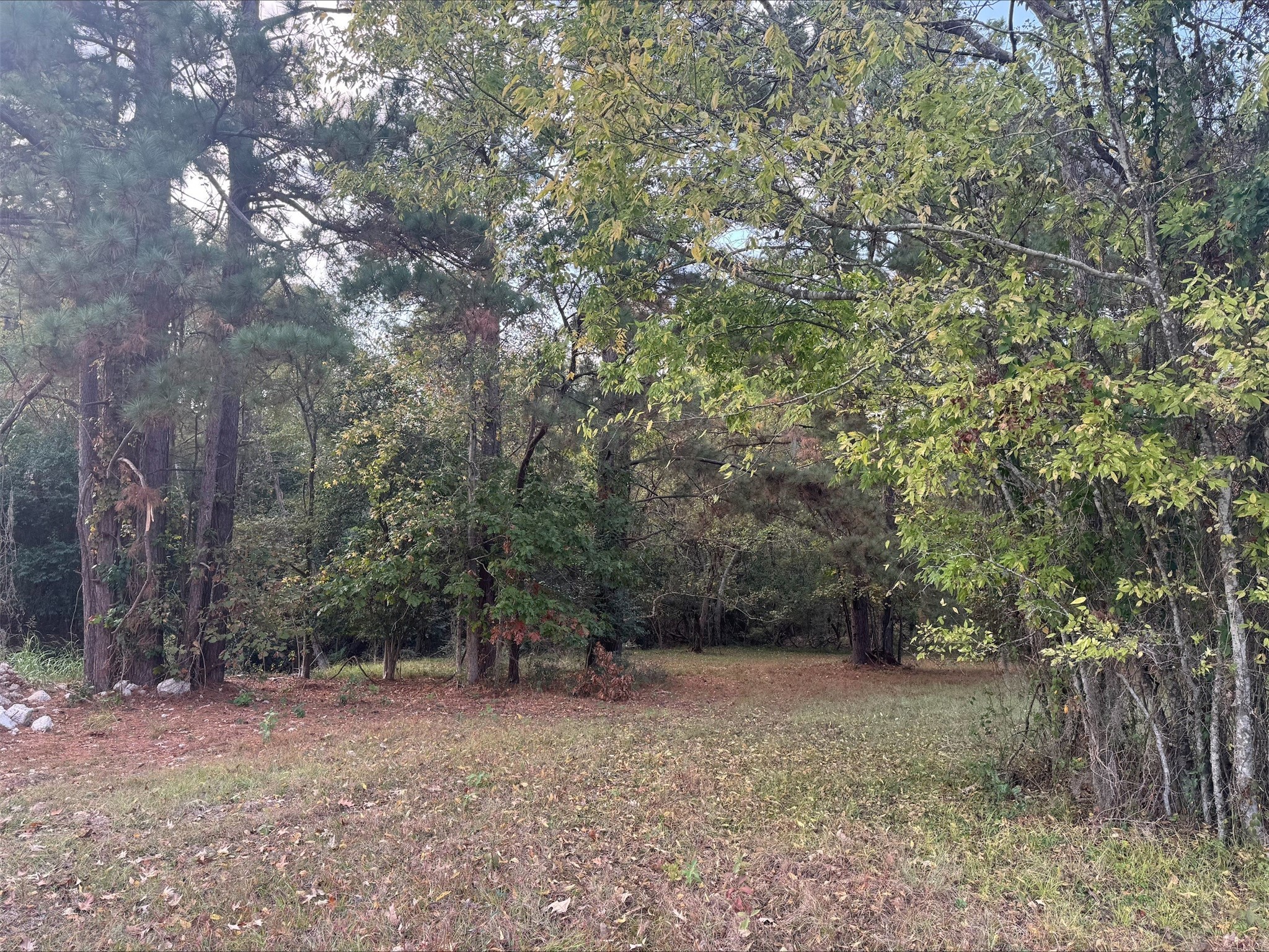 0 Silver Hickory Drive Property Photo 4