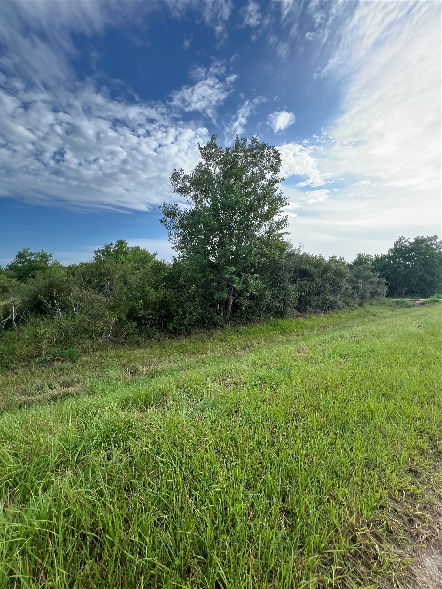 0000 County Road 246 West Avenue