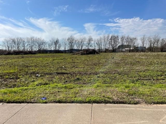 0 Bissonnet Property Photo 2