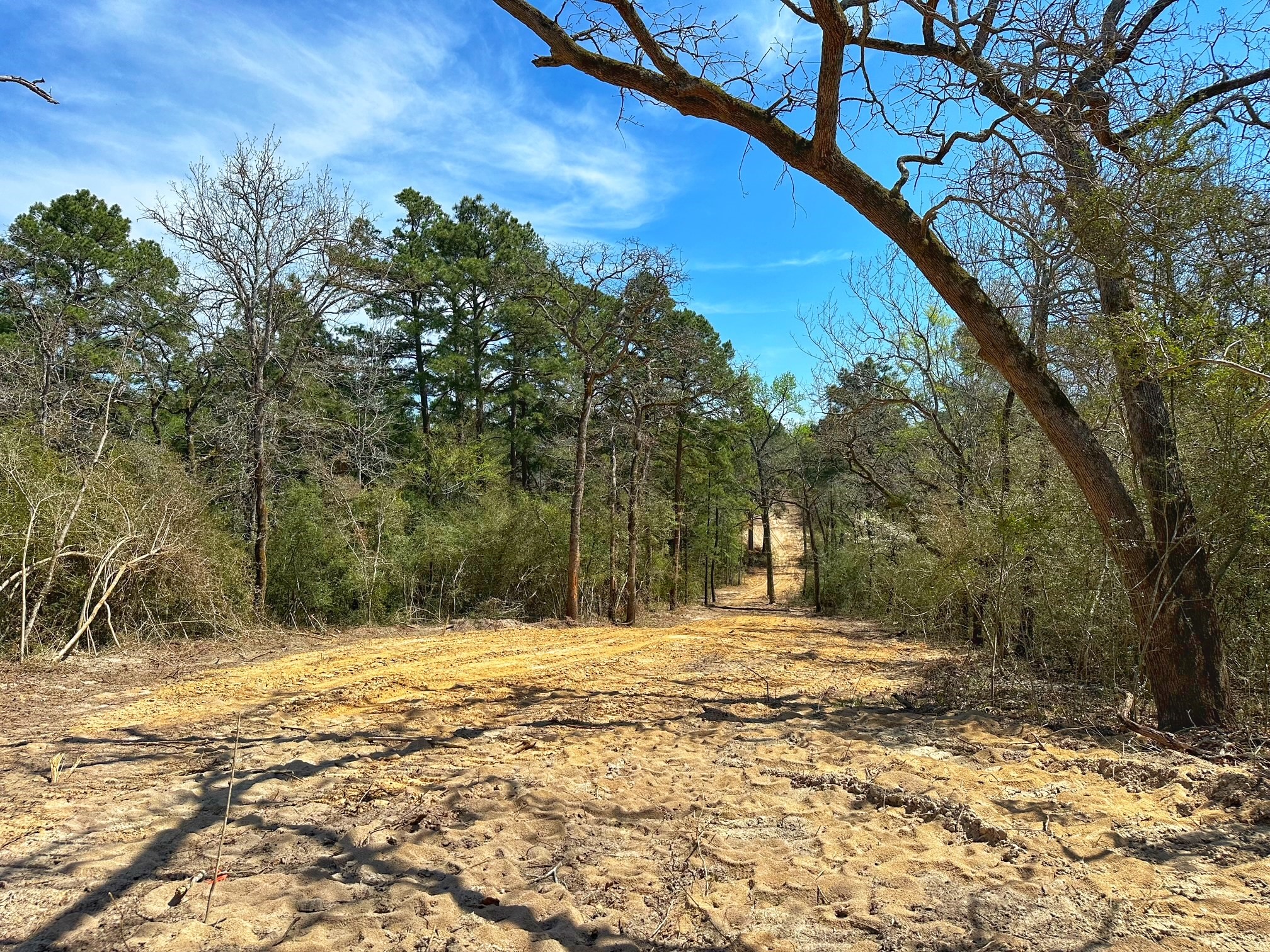 11 Ac Cr 292 Property Photo