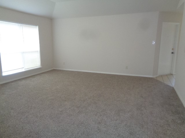 8402 Lone Bridge Lane Property Photo 5