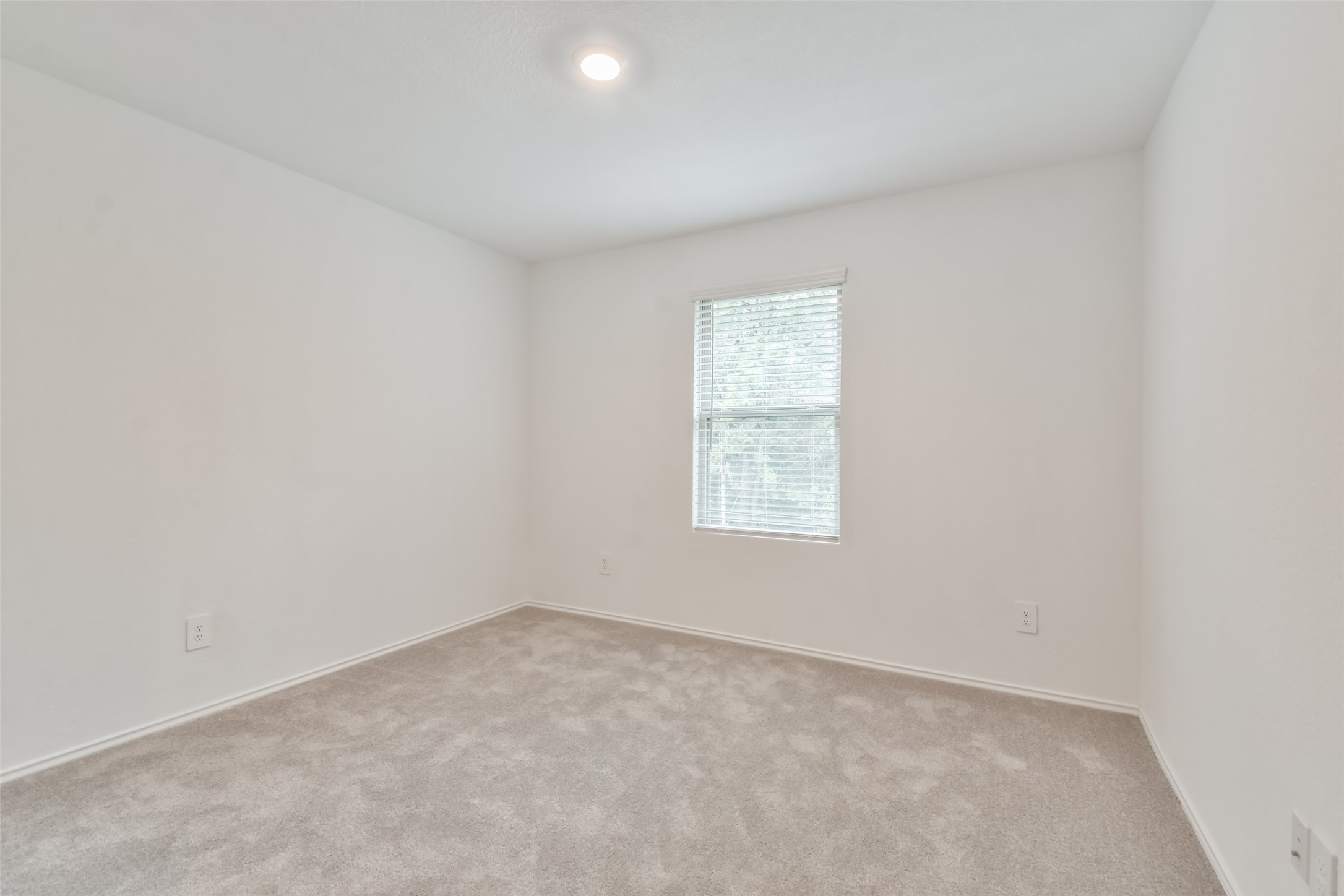 3707 Solanum Drive Property Photo 22