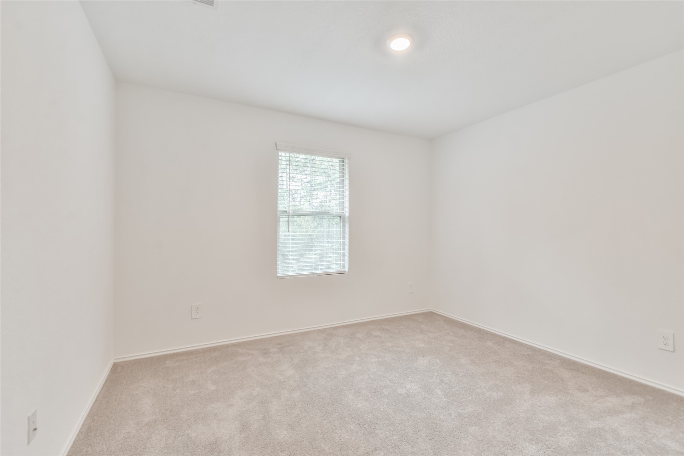 3707 Solanum Drive Property Photo 27
