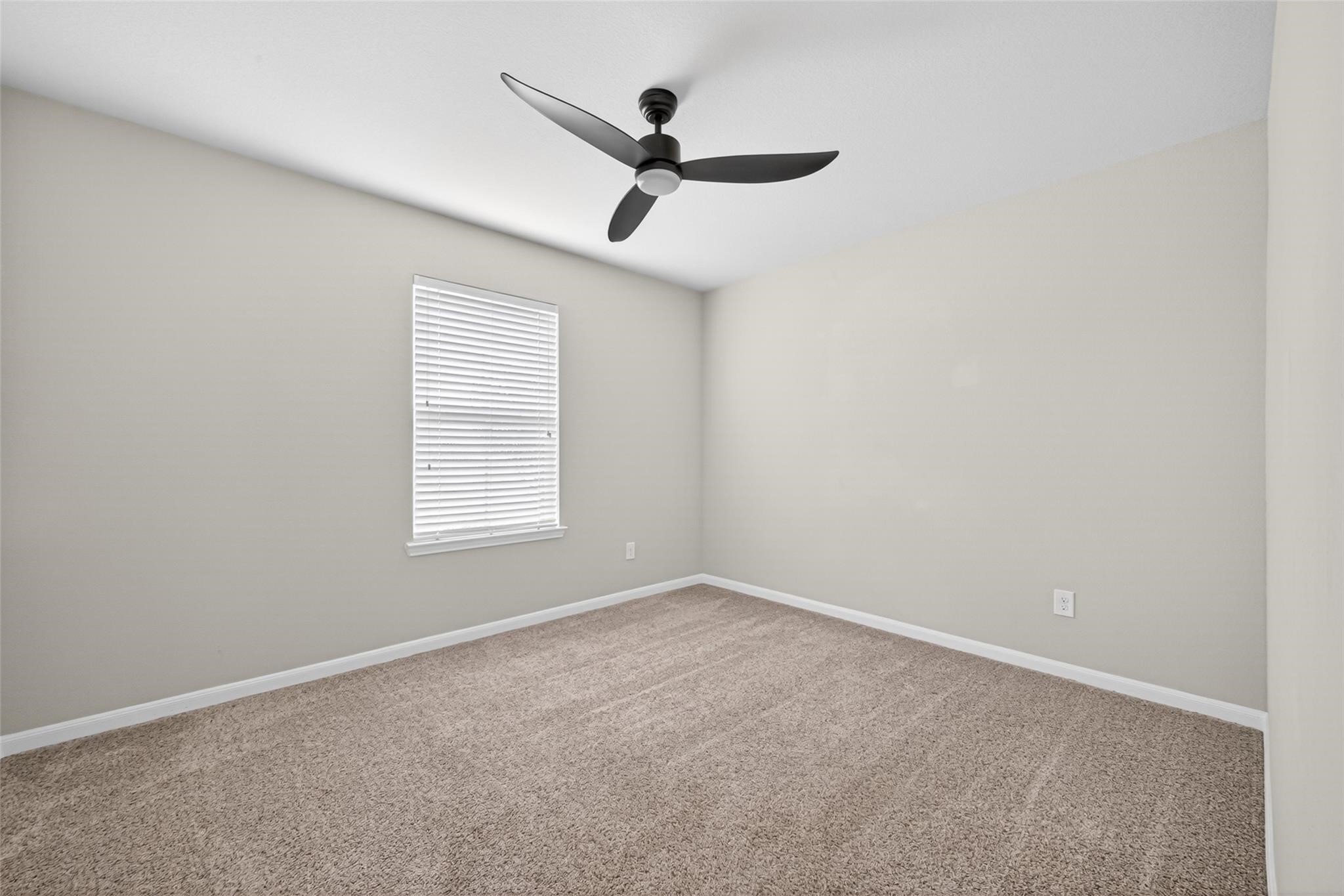 29814 Cauthers Pass Lane Property Photo 19