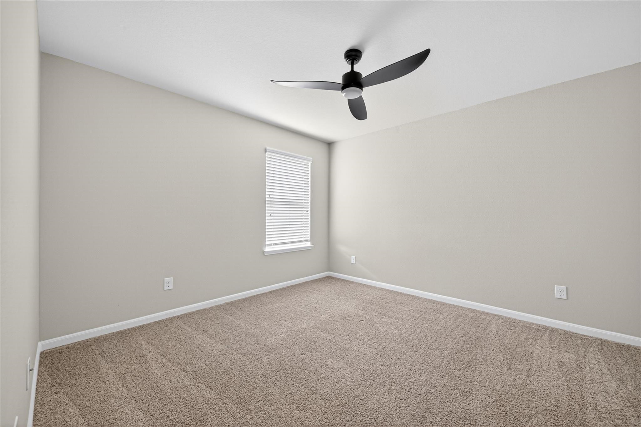 29814 Cauthers Pass Lane Property Photo 21
