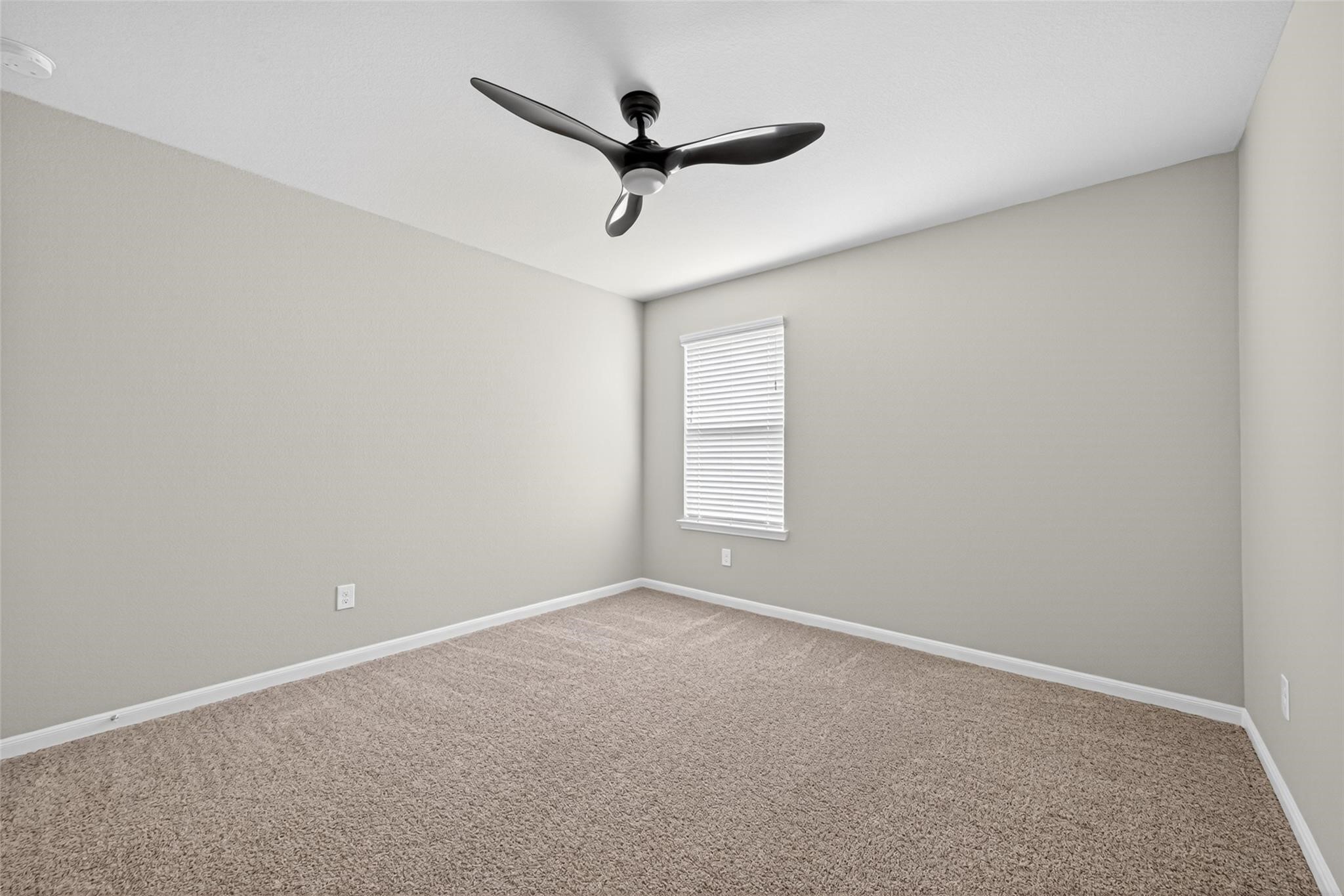 29814 Cauthers Pass Lane Property Photo 23