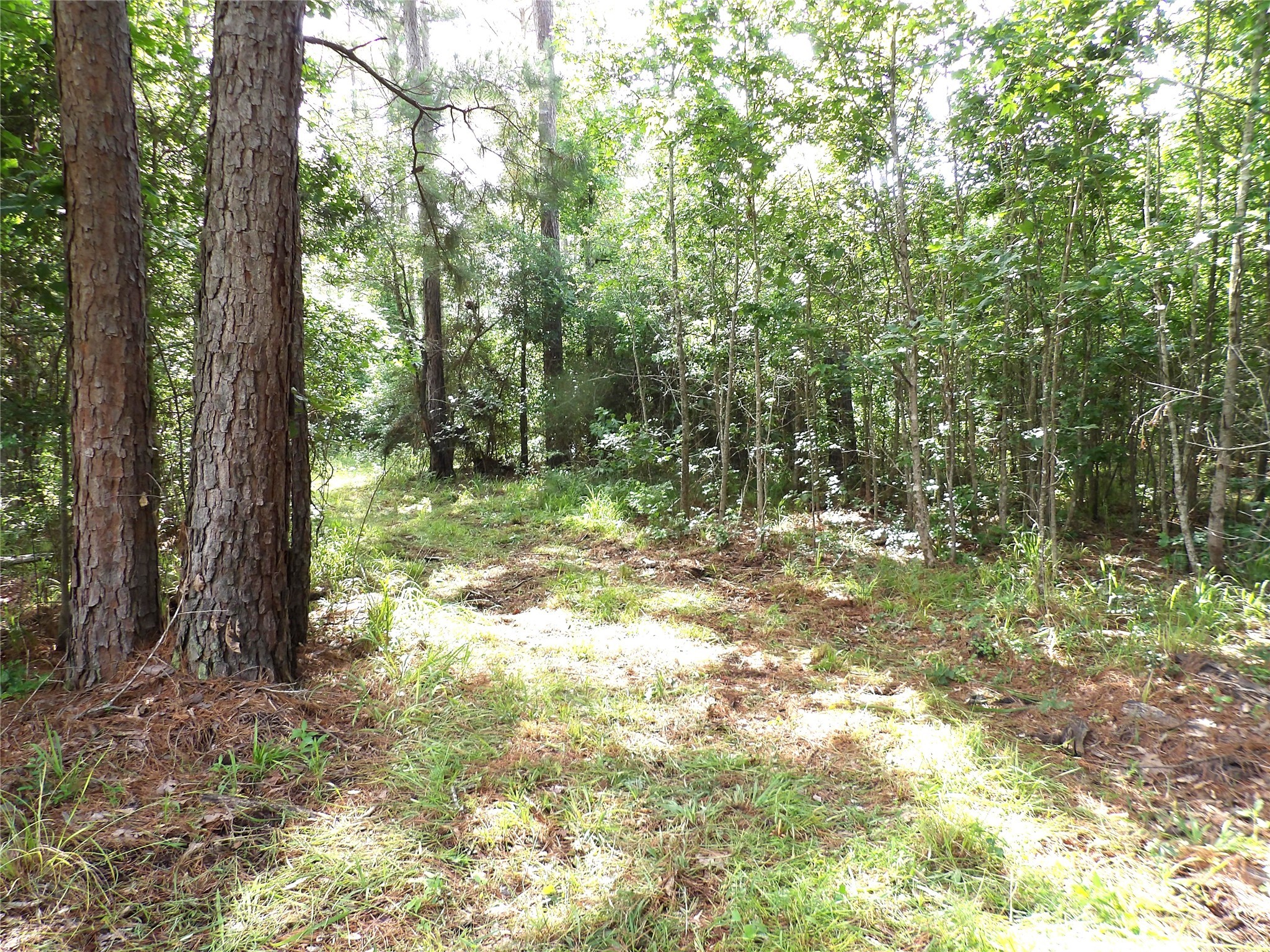 TBD FSR 536 Property Photo 1