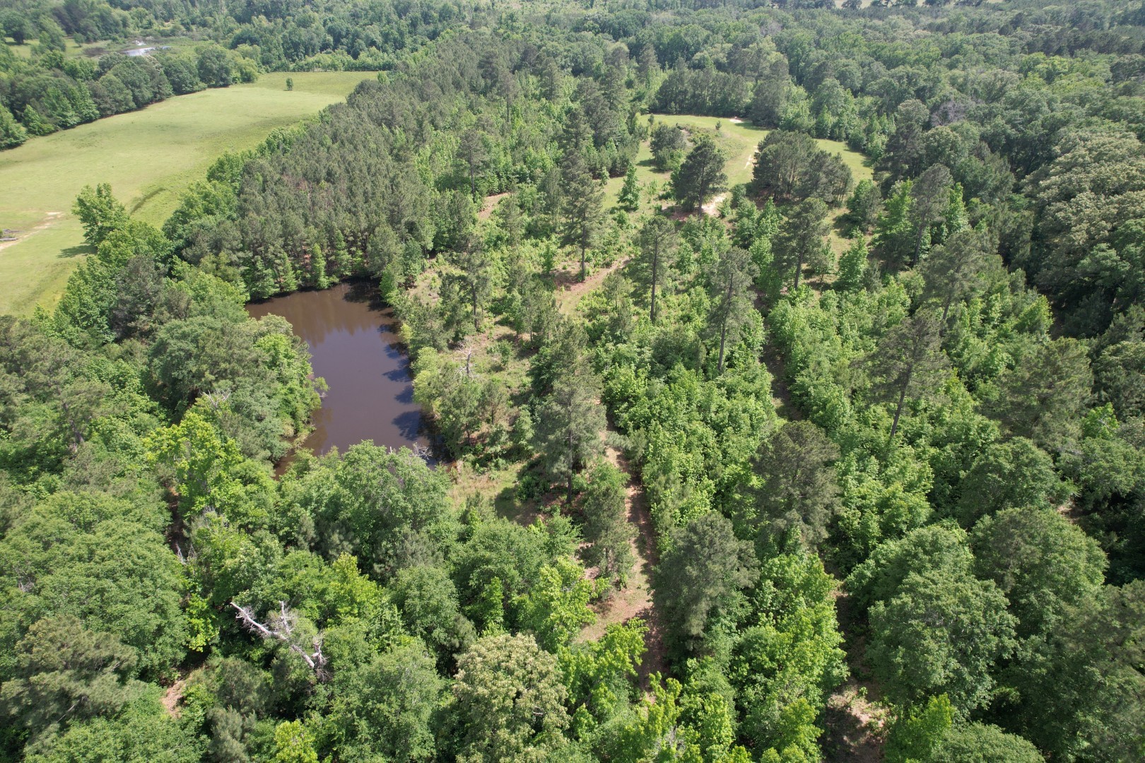 Tbd Fm 13 Property Photo 1