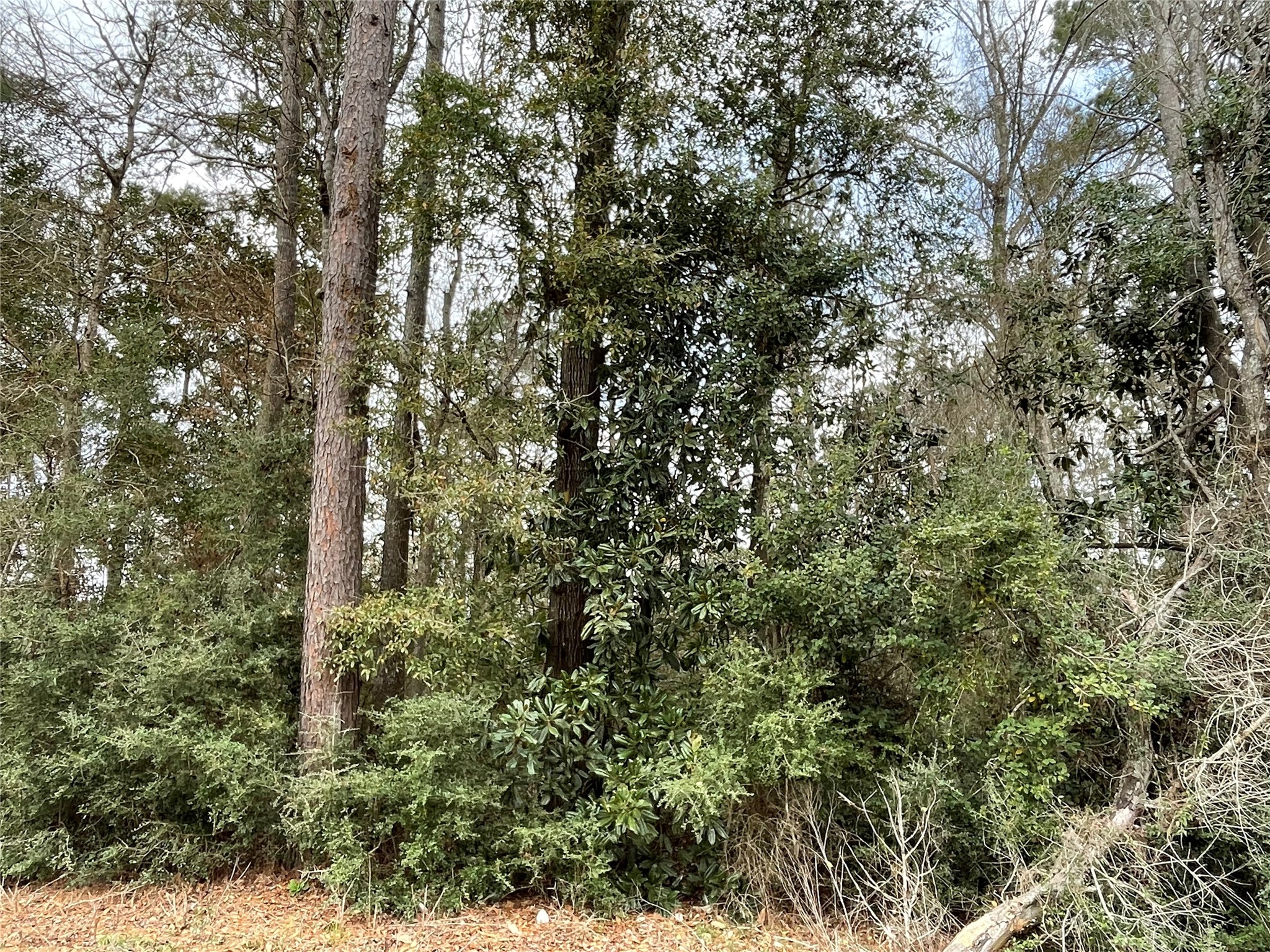 0 Codner Drive Property Photo 1