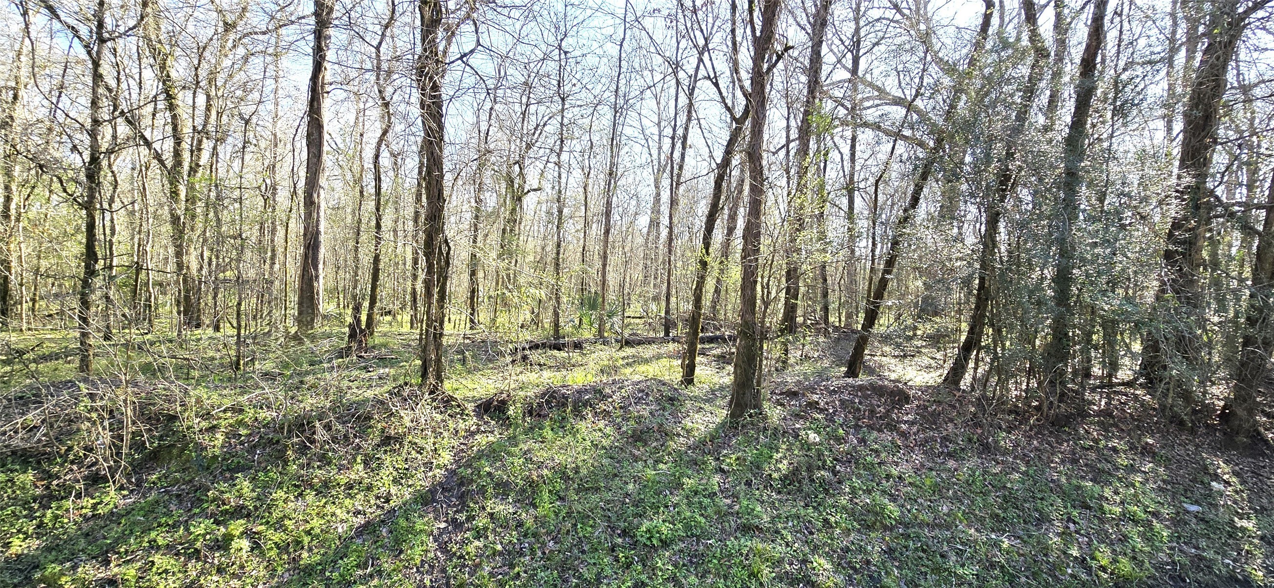 TBD County Road 2500 Property Photo 1