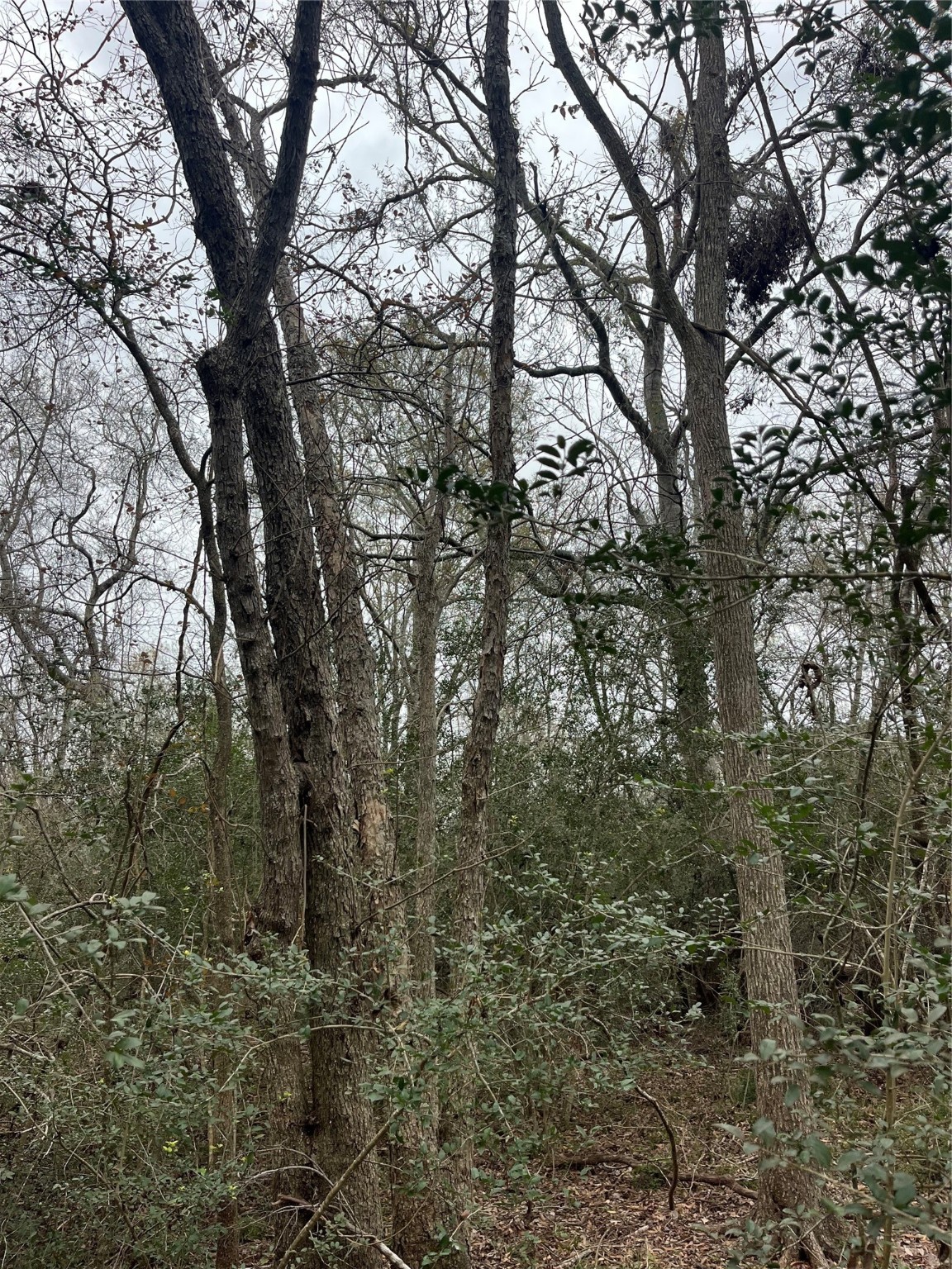 0 Routt Pointe Property Photo 16