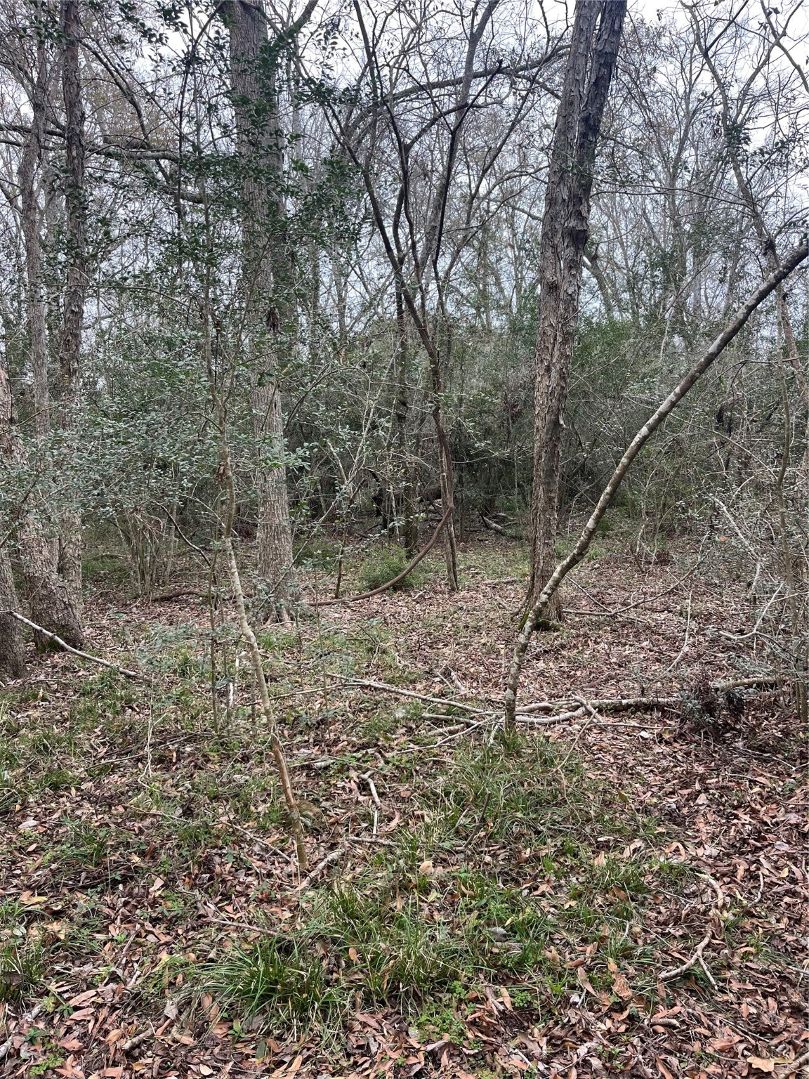 0 Routt Pointe Property Photo 17