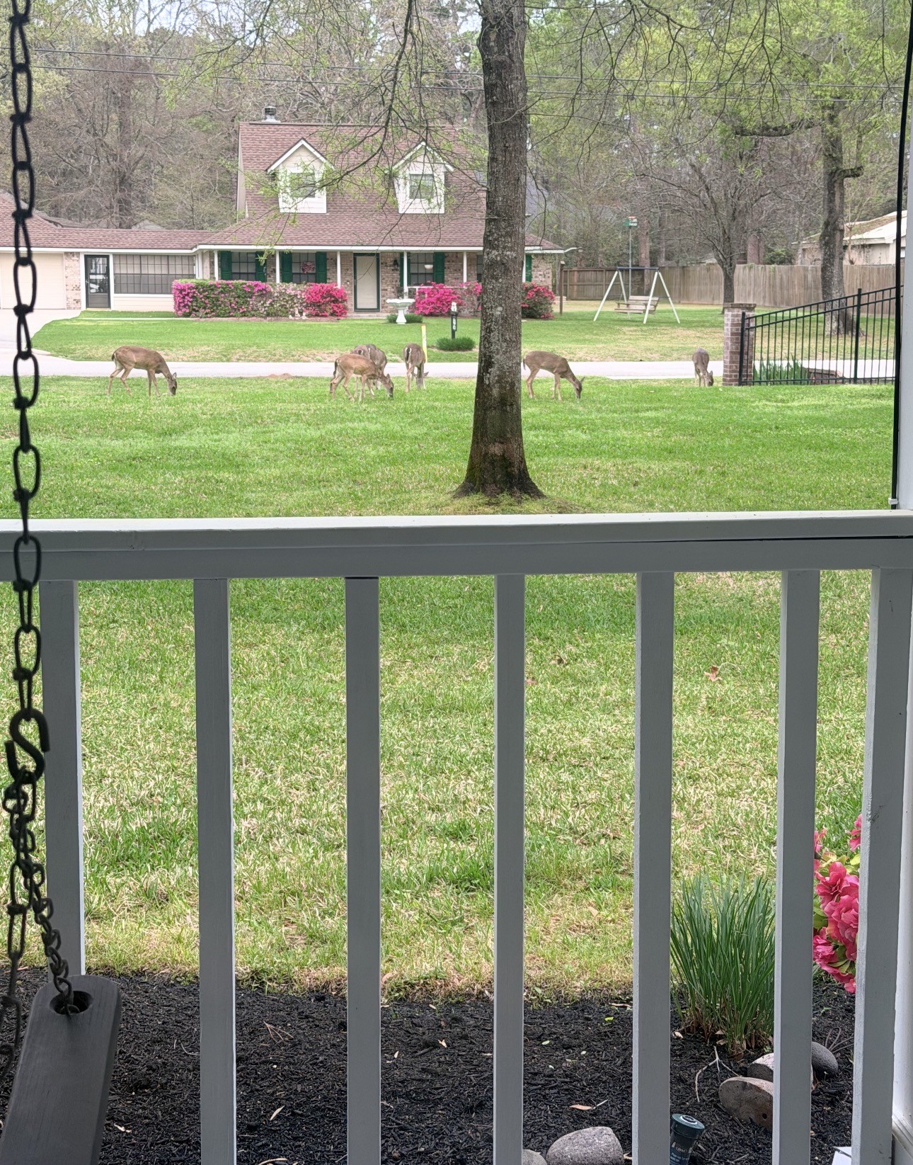 36 Wind River Drive Property Photo 11