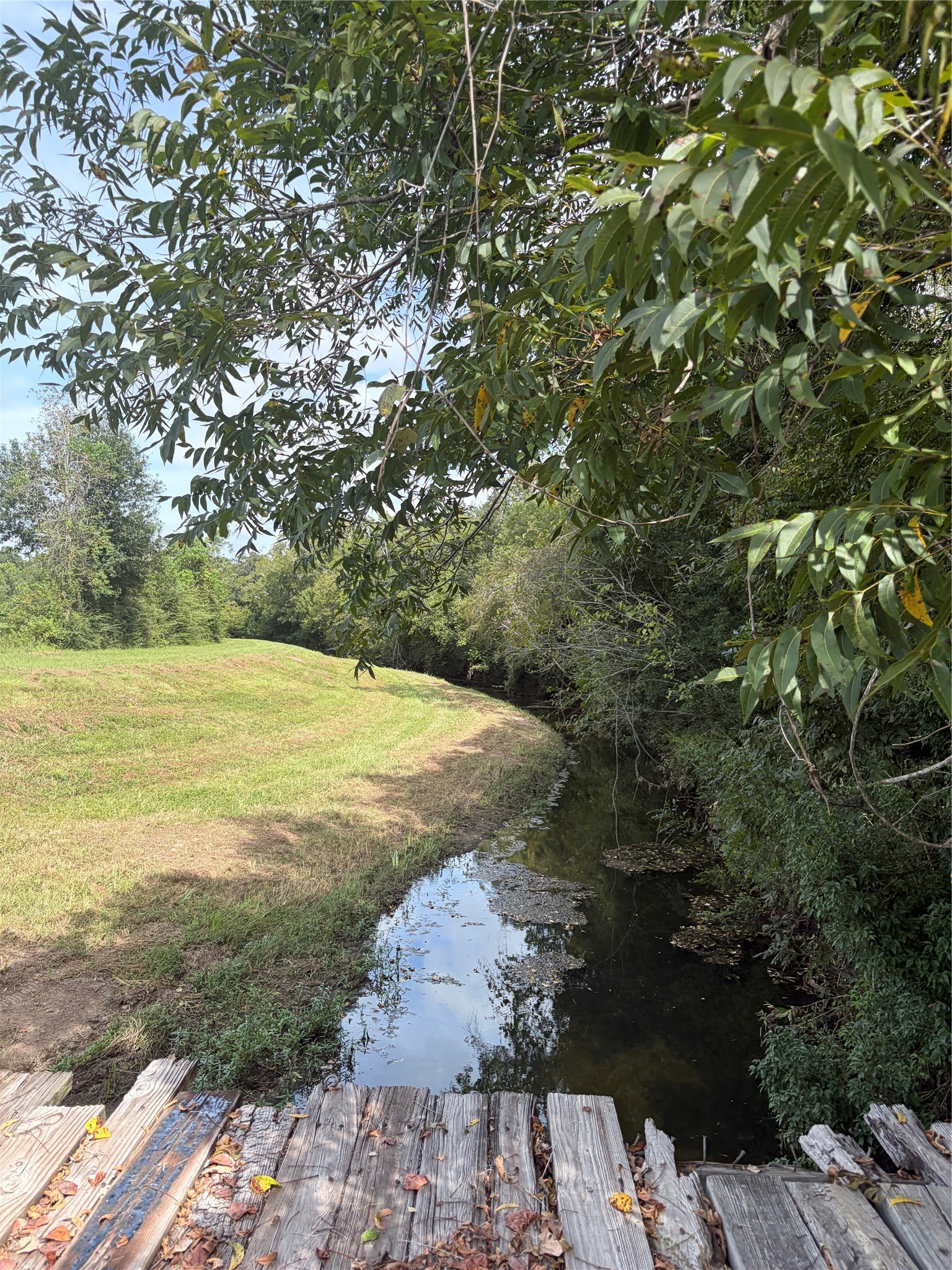 Na County Road Cox 949 A Property Photo 1