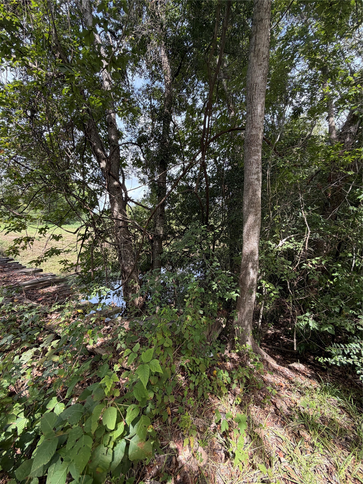 Na County Road Cox 949 A Property Photo 6