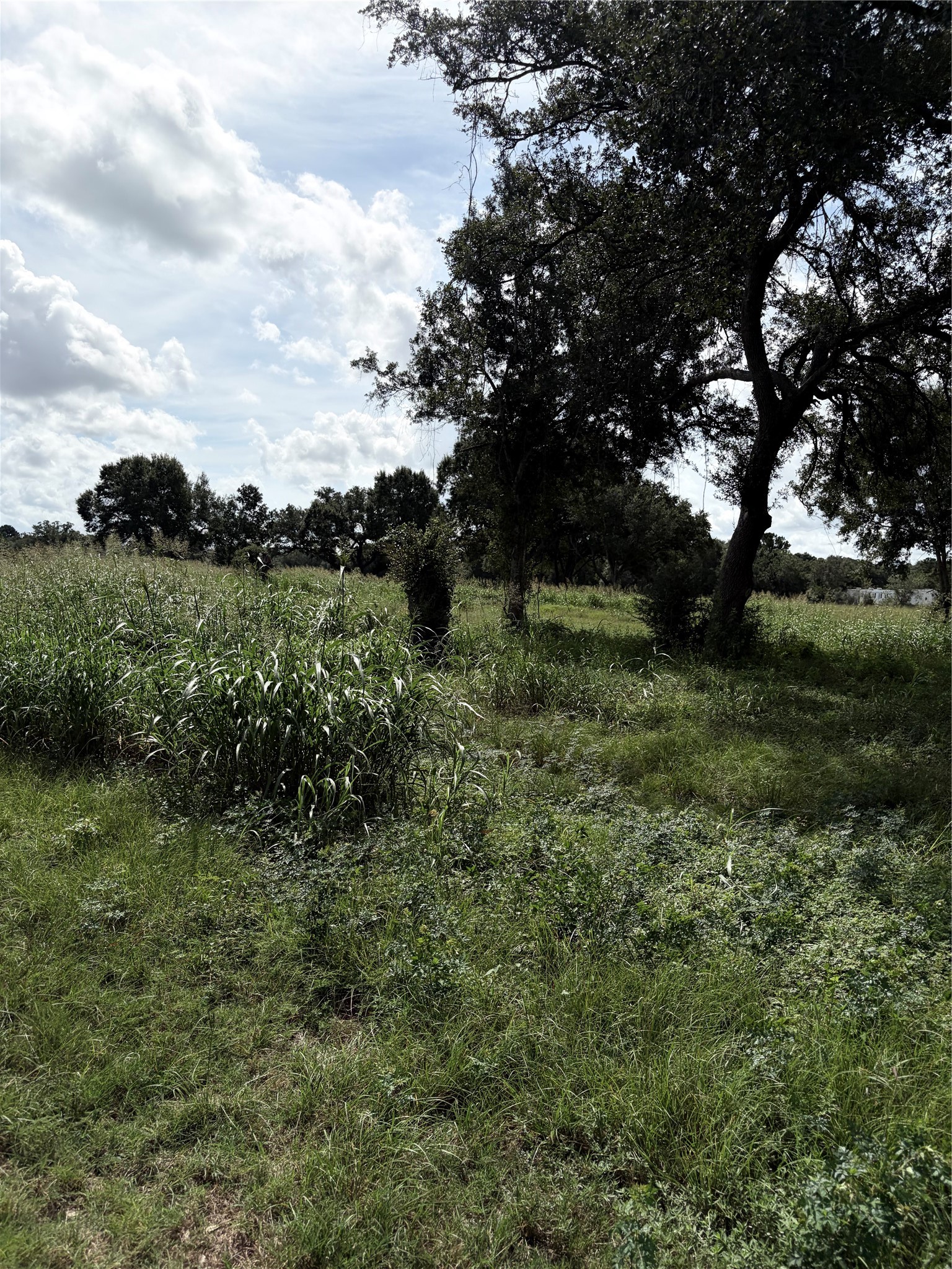 Na County Road Cox 949 A Property Photo 10