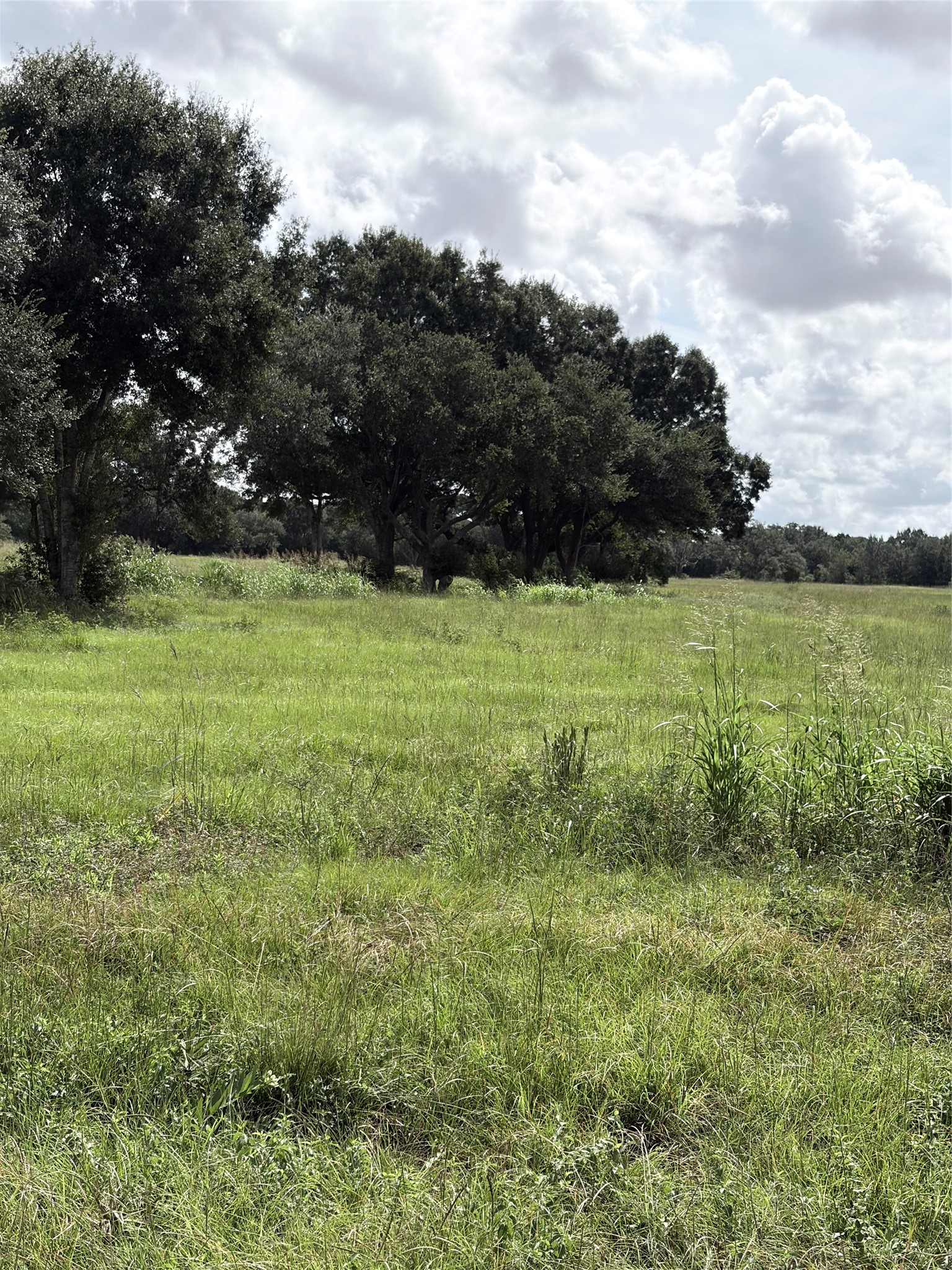 Na County Road Cox 949 A Property Photo 16