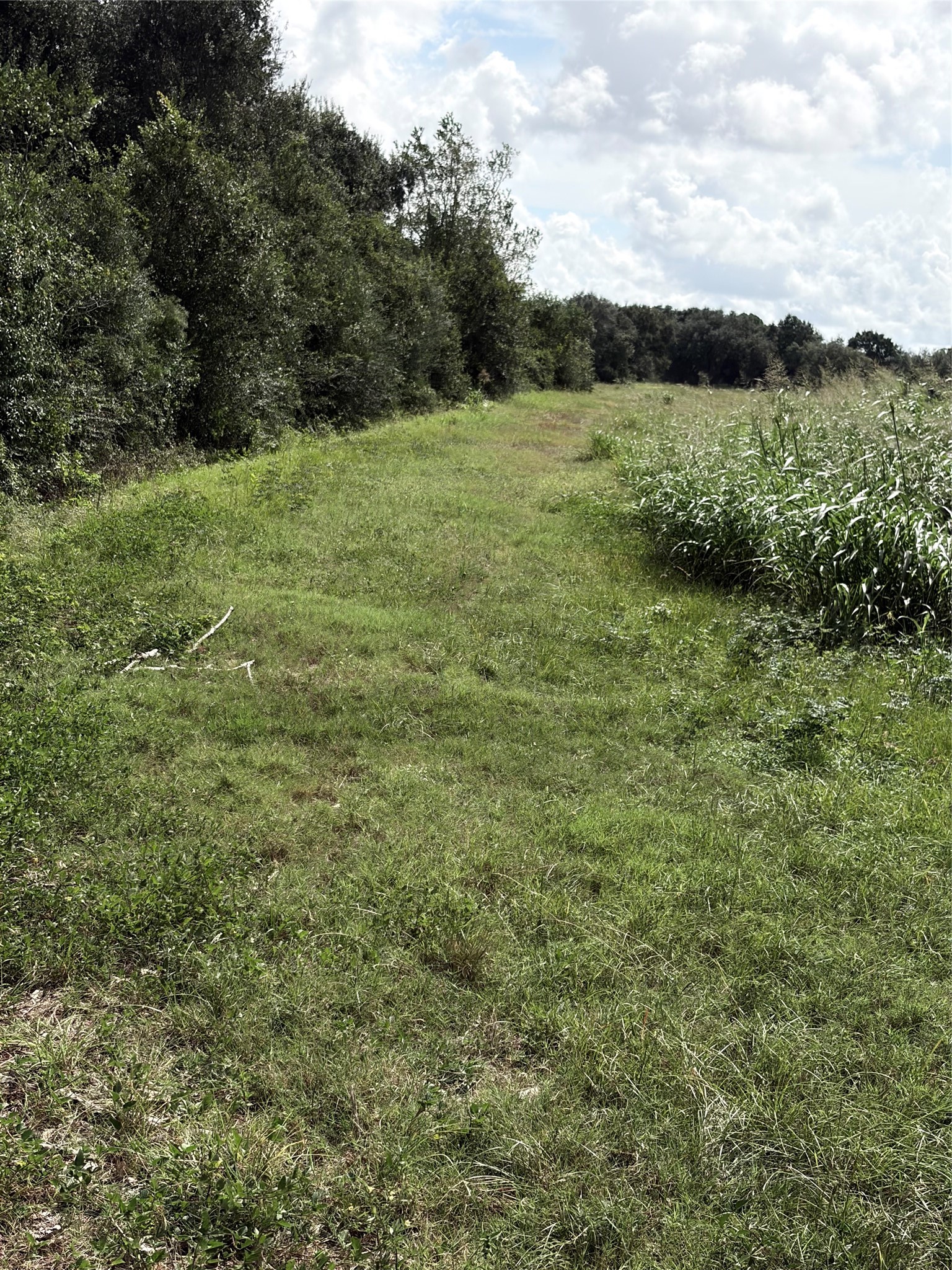 Na County Road Cox 949 A Property Photo 17