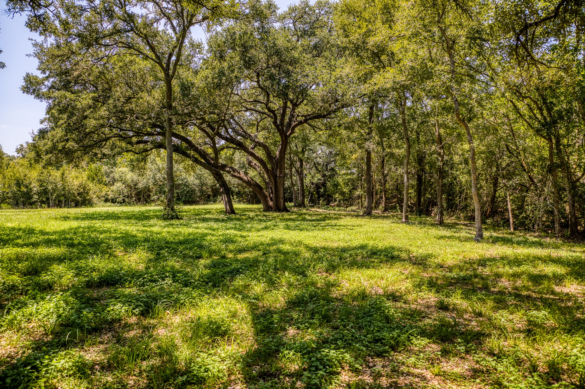 8390 Schuster Road Property Photo 28