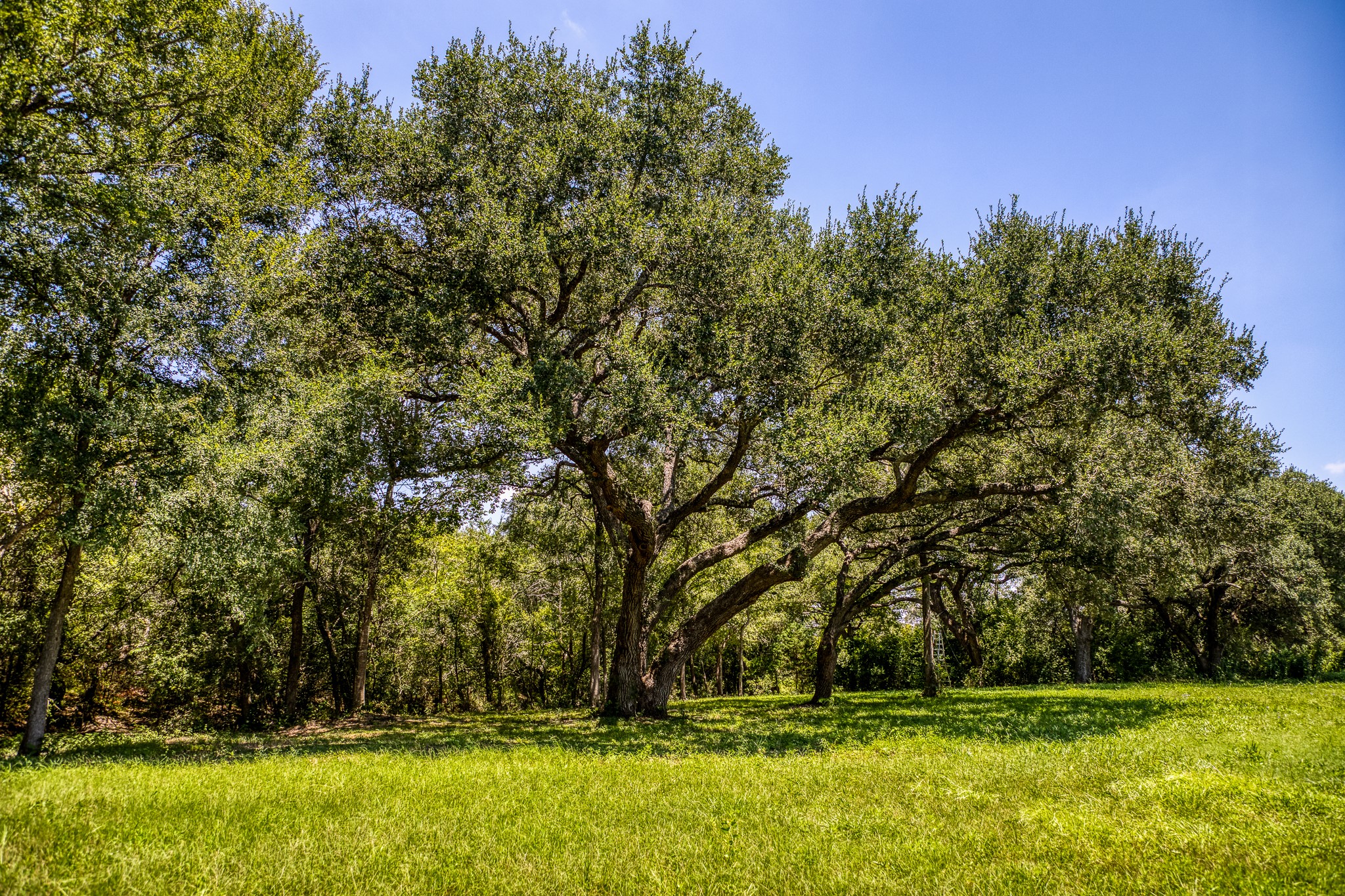8390 Schuster Road Property Photo 34