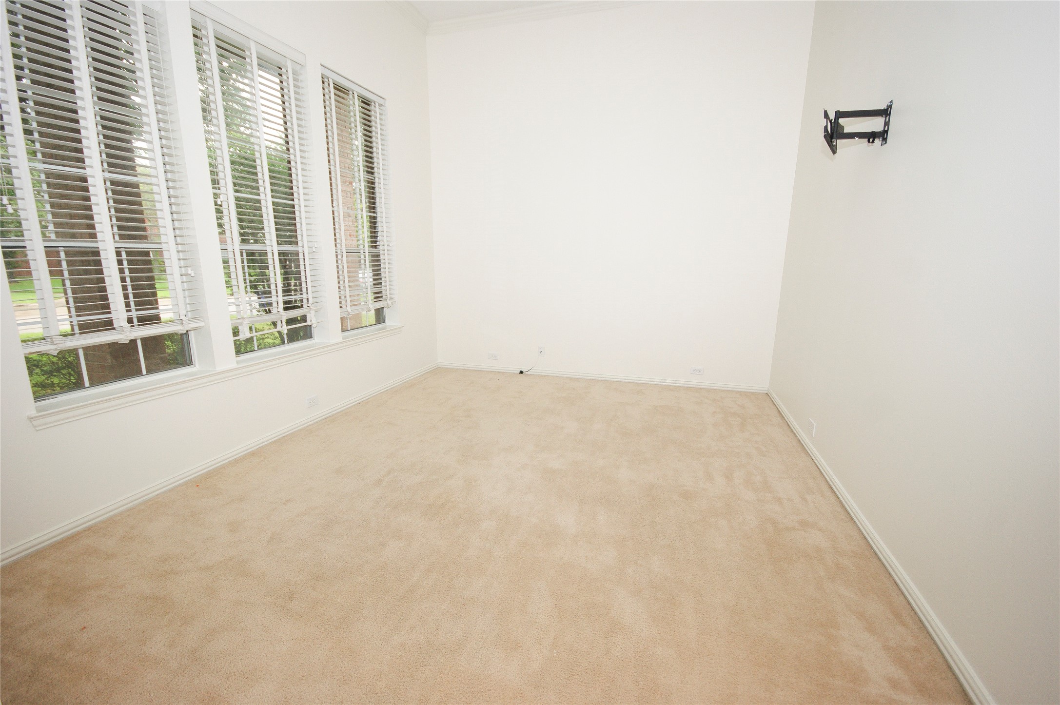 310 Watercrest Harbor Lane Property Photo 6