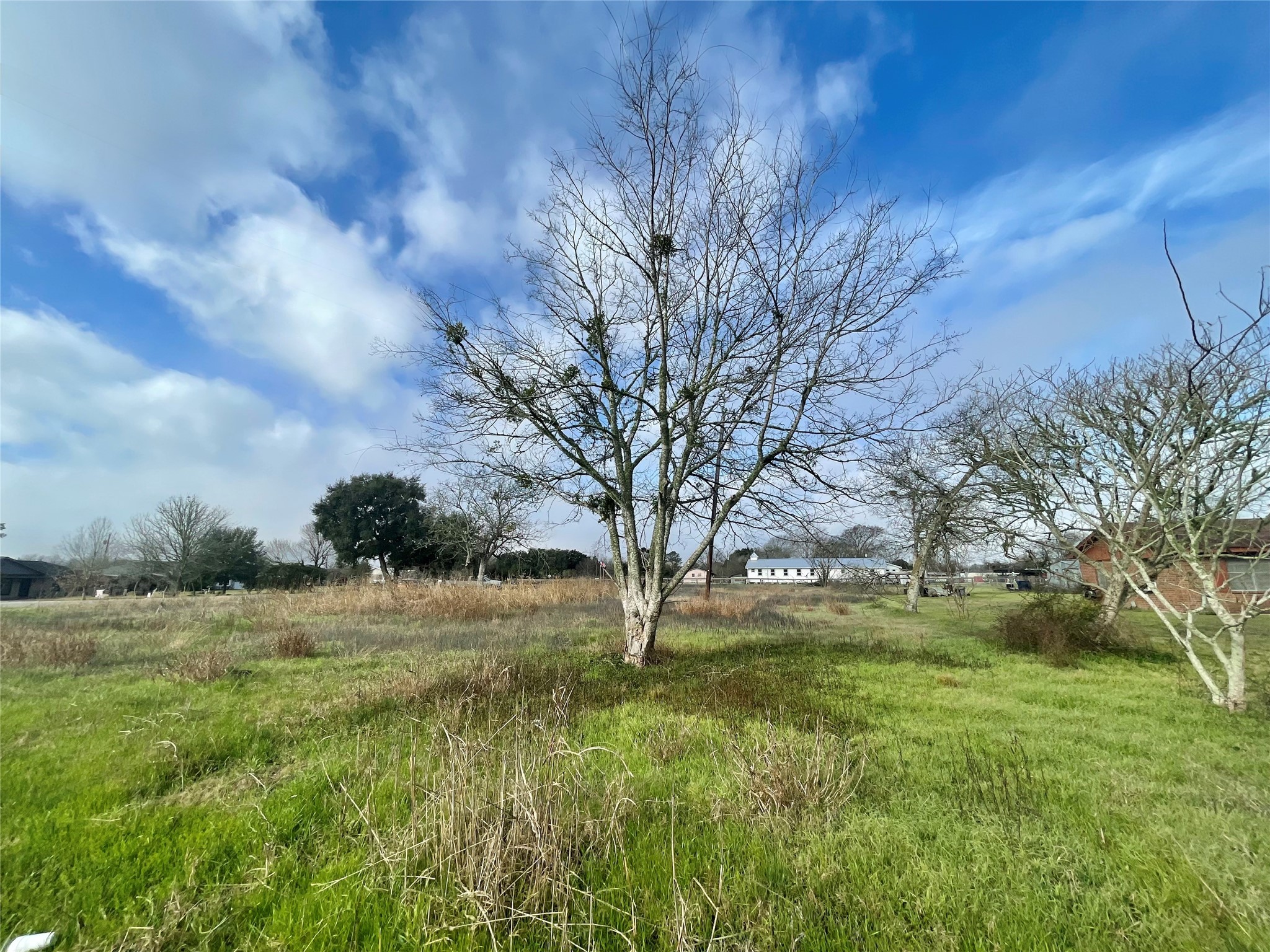 0 Chadwick Hogan Road Property Photo 7