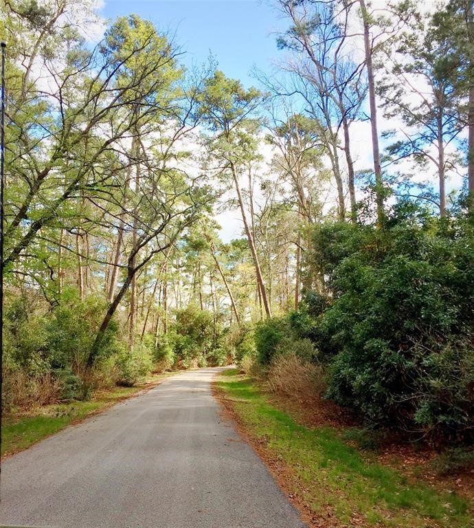 235 Navasota Narrows Way Property Photo 6