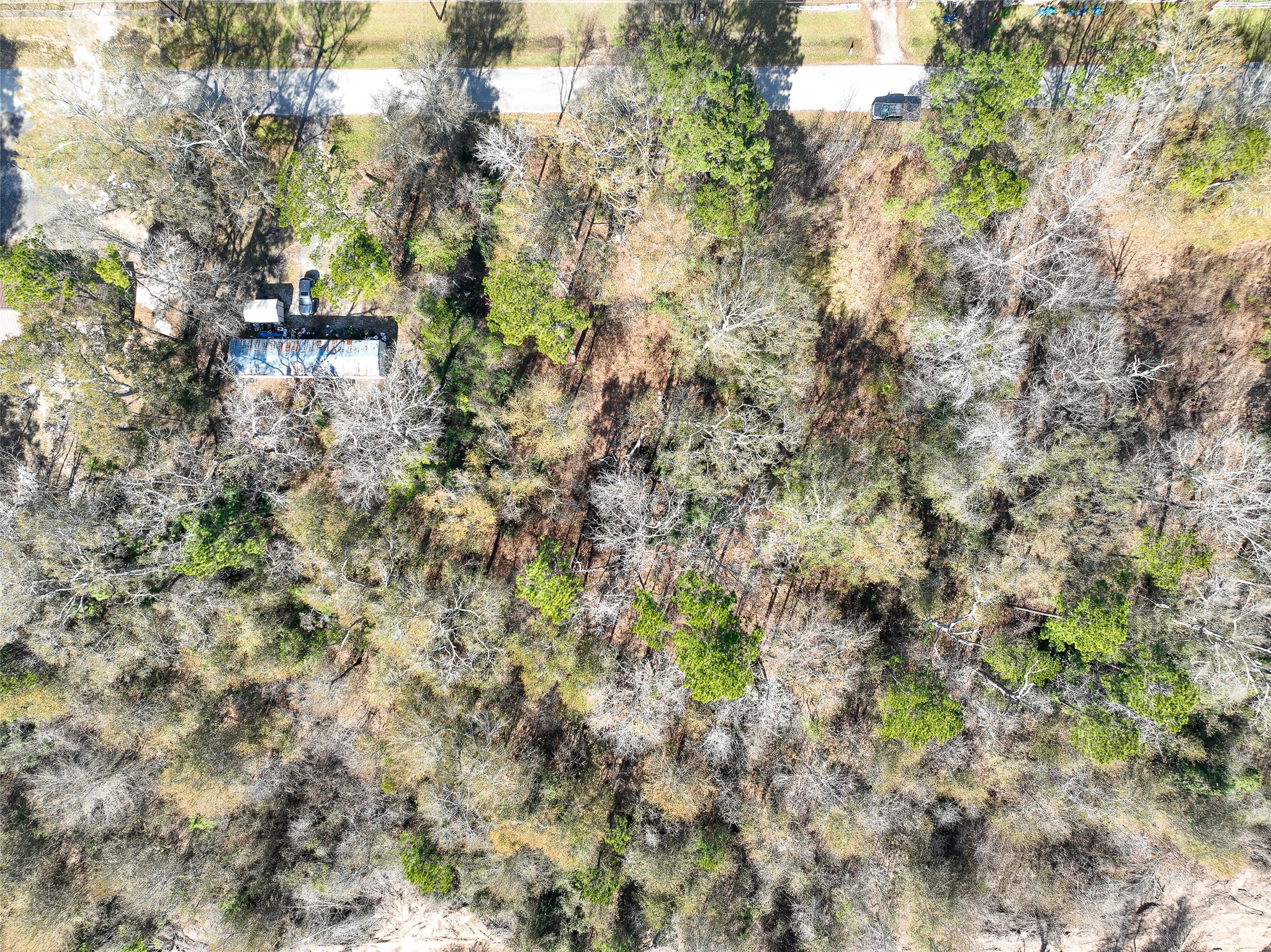 0 Carol Lane Property Photo 11