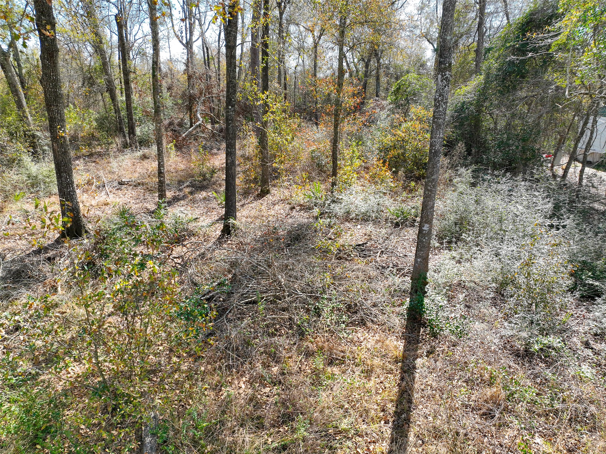0 Carol Lane Property Photo 14