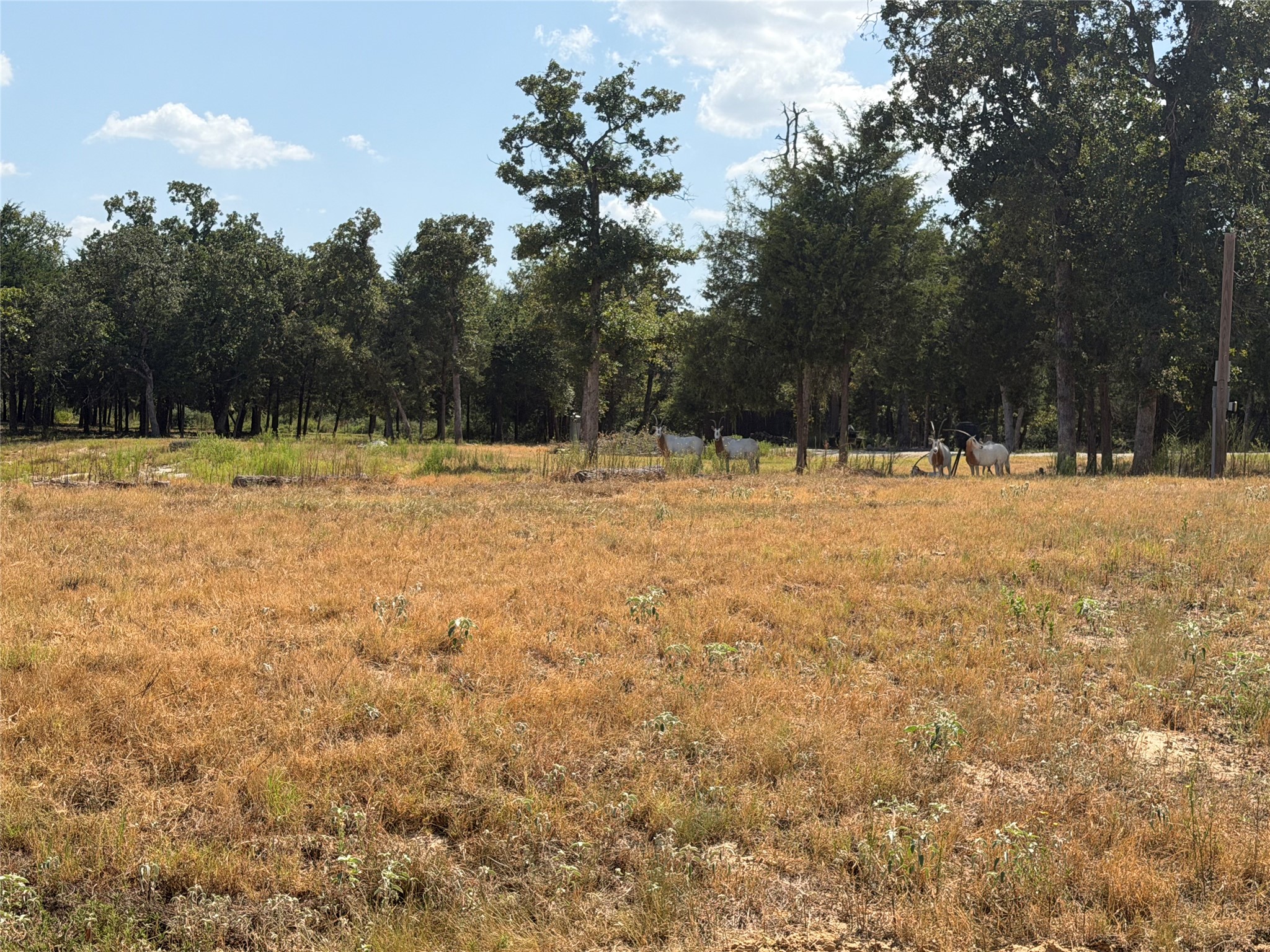 Tbd Pr 4100 W Property Photo 4