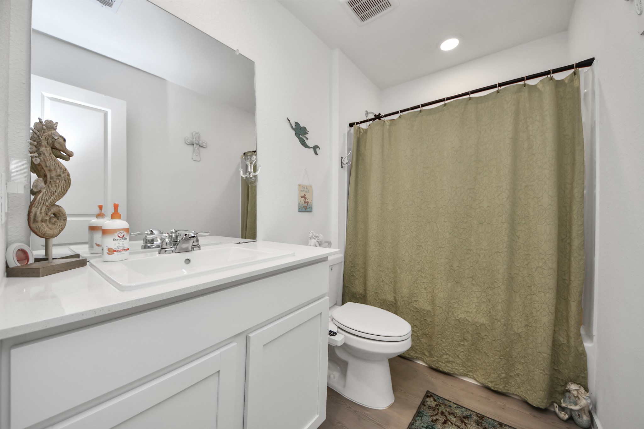 28715 Texas Plains Drive Property Photo 5