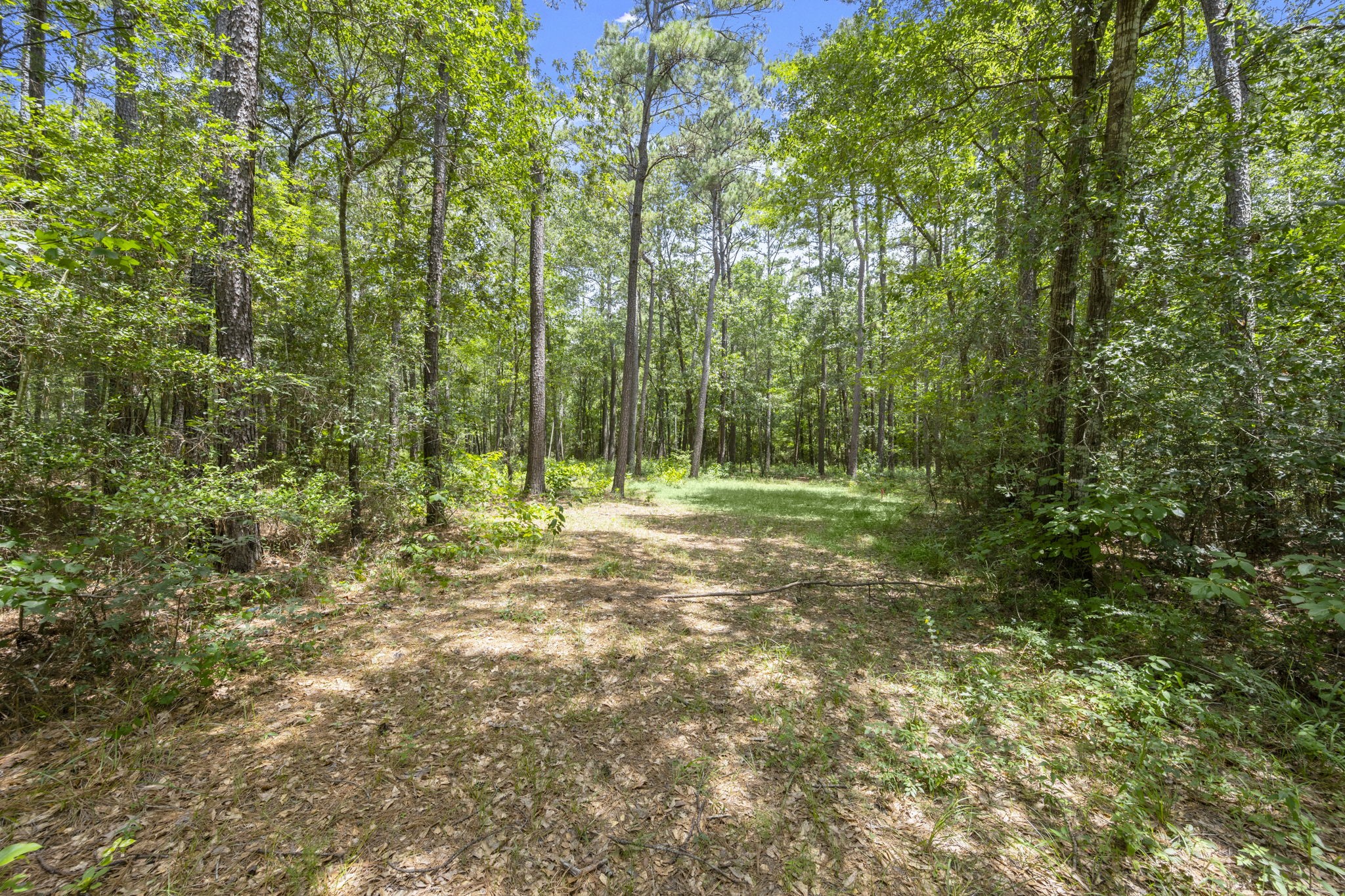 0 Wee Creek Lane Property Photo 3