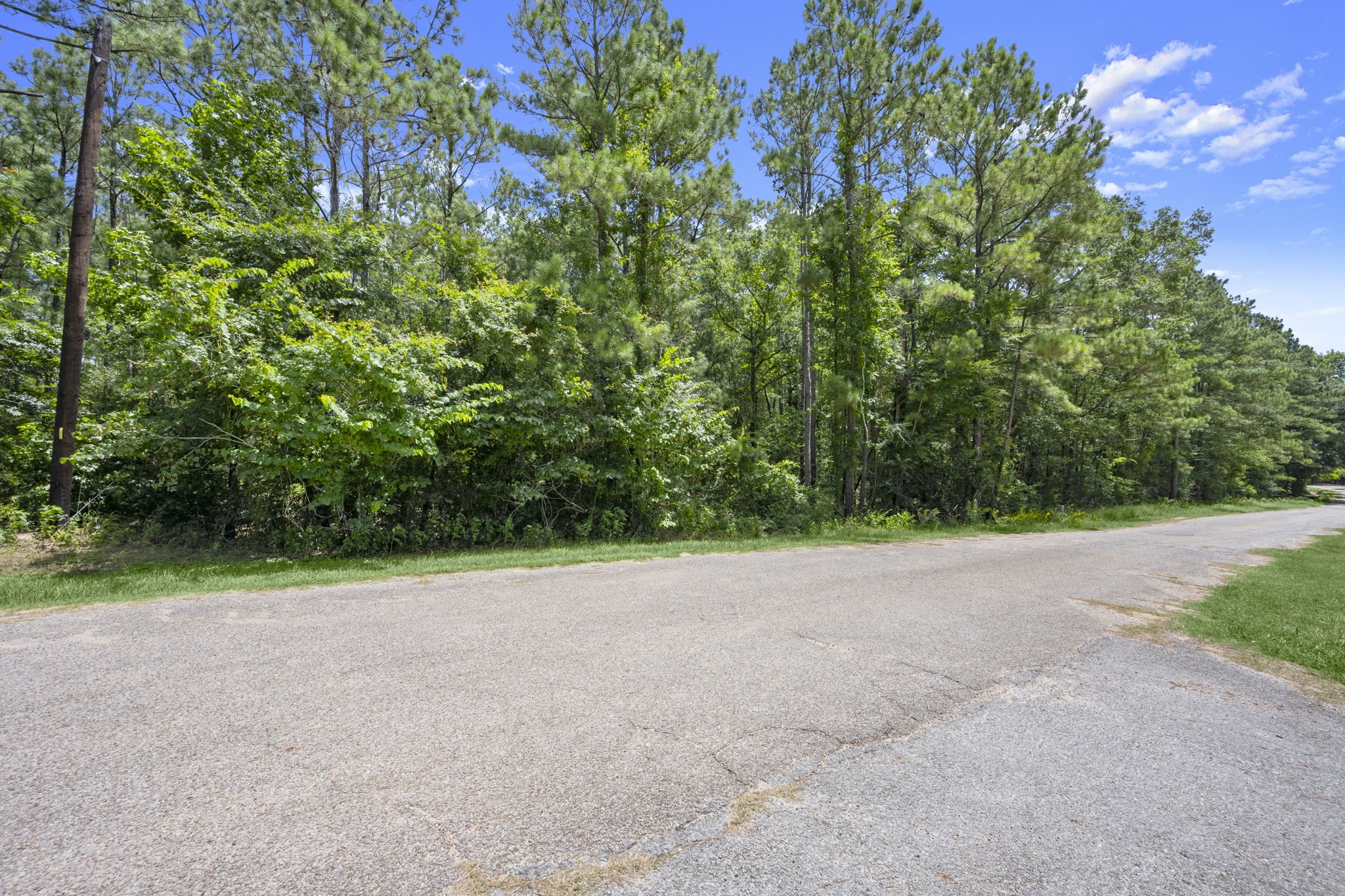 0 Wee Creek Lane Property Photo 4