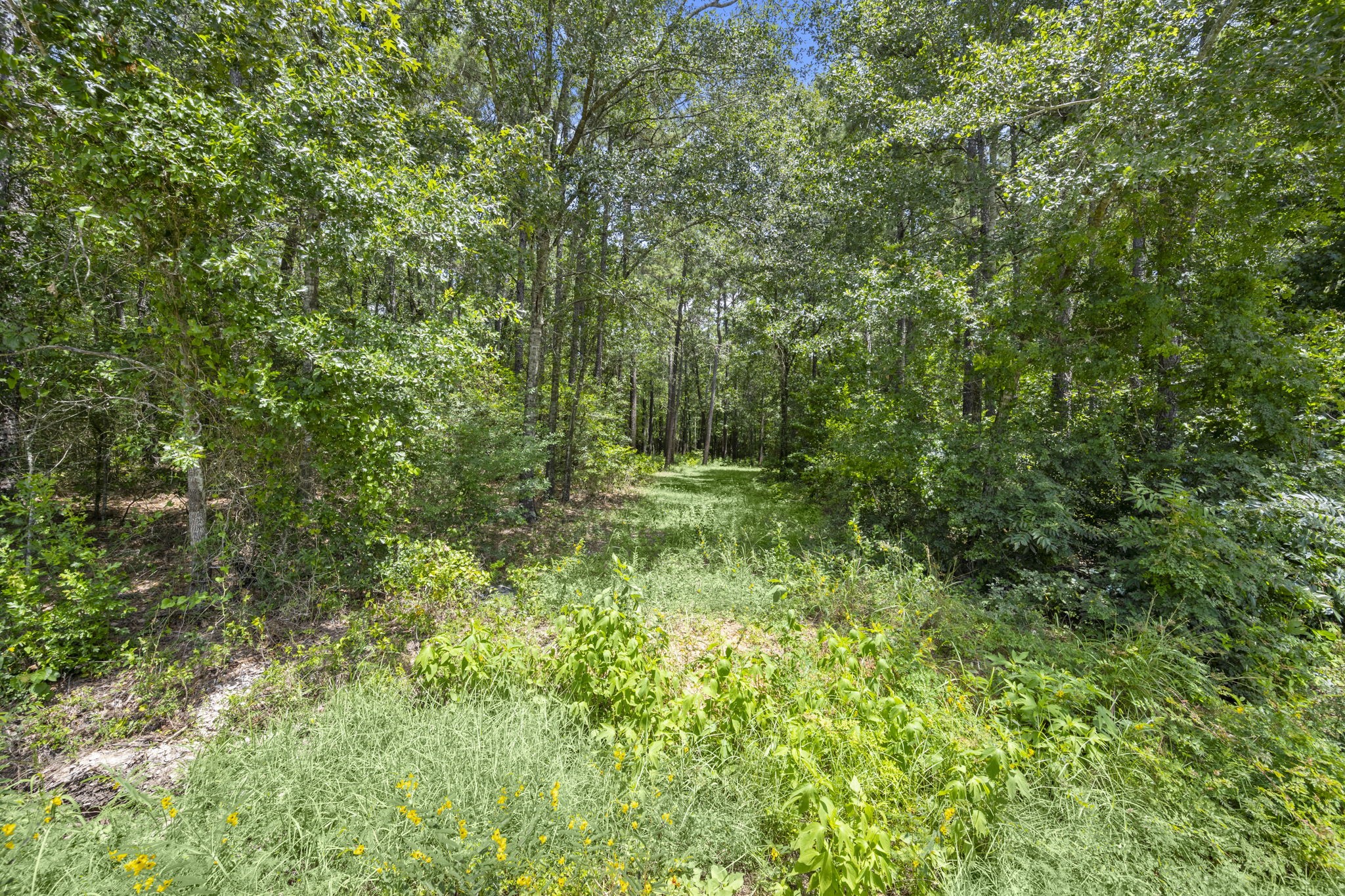 0 Wee Creek Lane Property Photo 5
