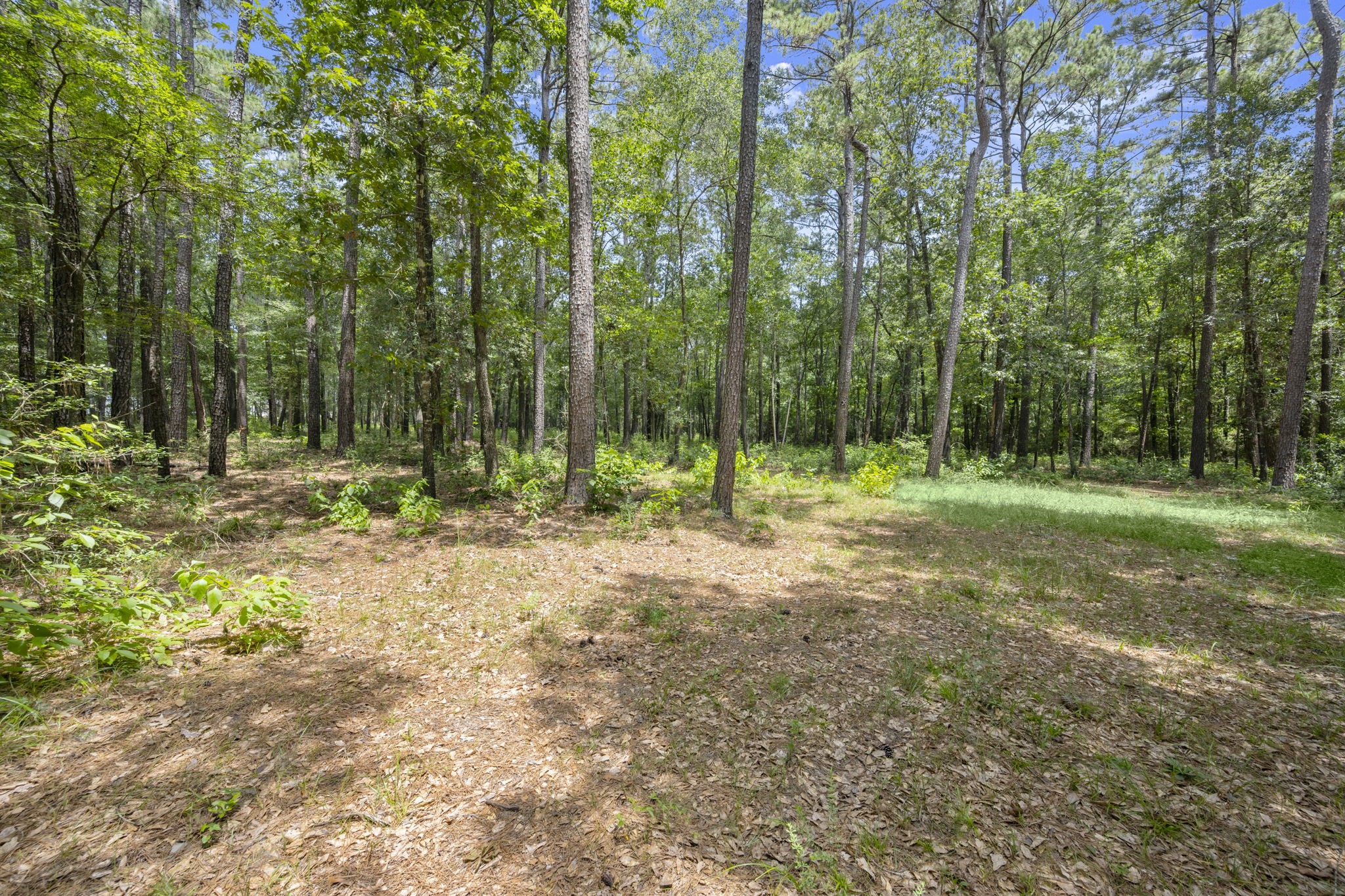 0 Wee Creek Lane Property Photo 7