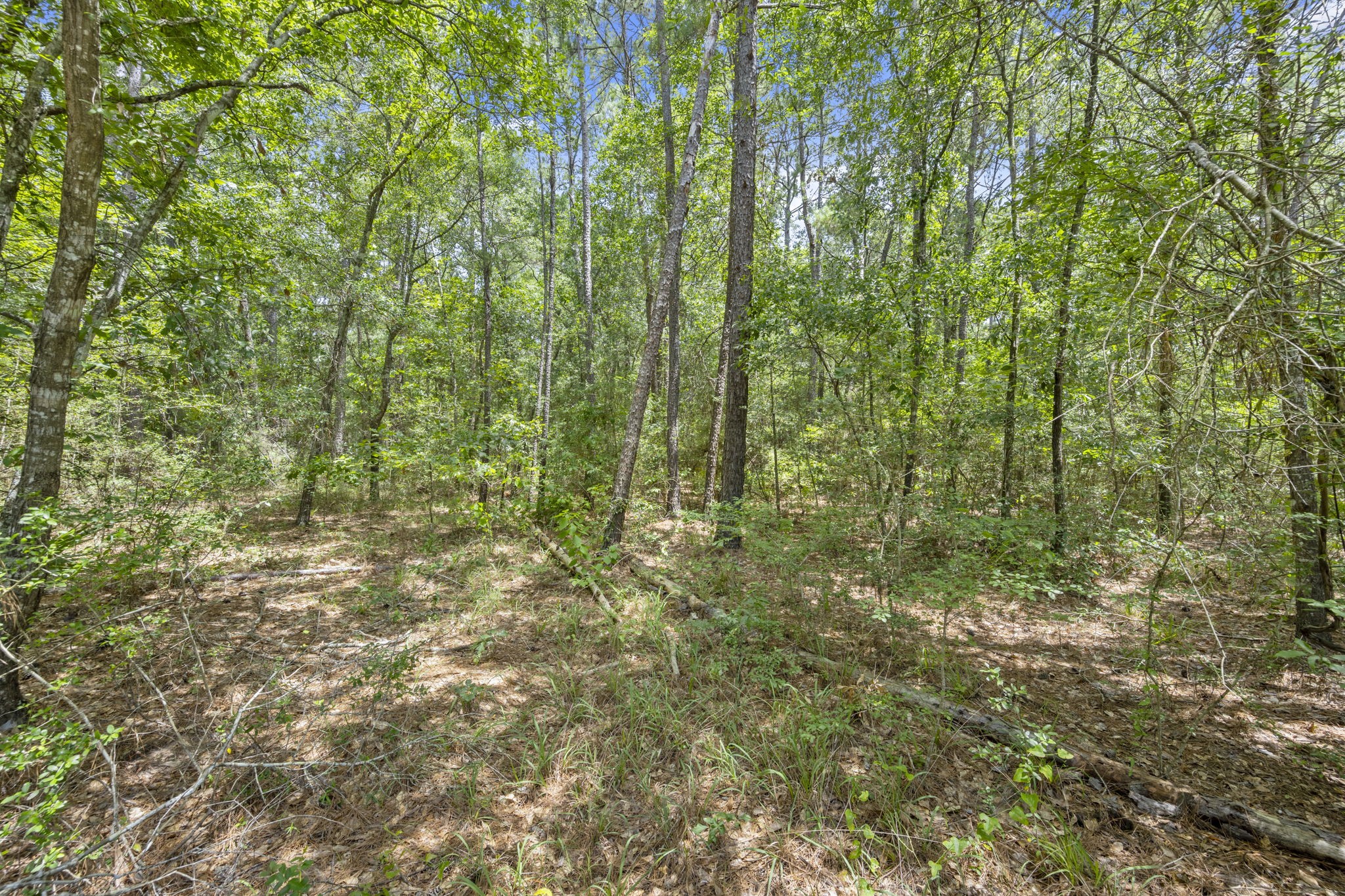 0 Wee Creek Lane Property Photo 8