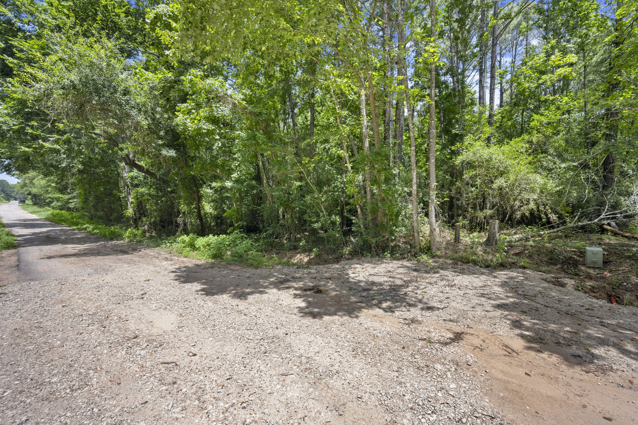 0 Wee Creek Lane Property Photo 10