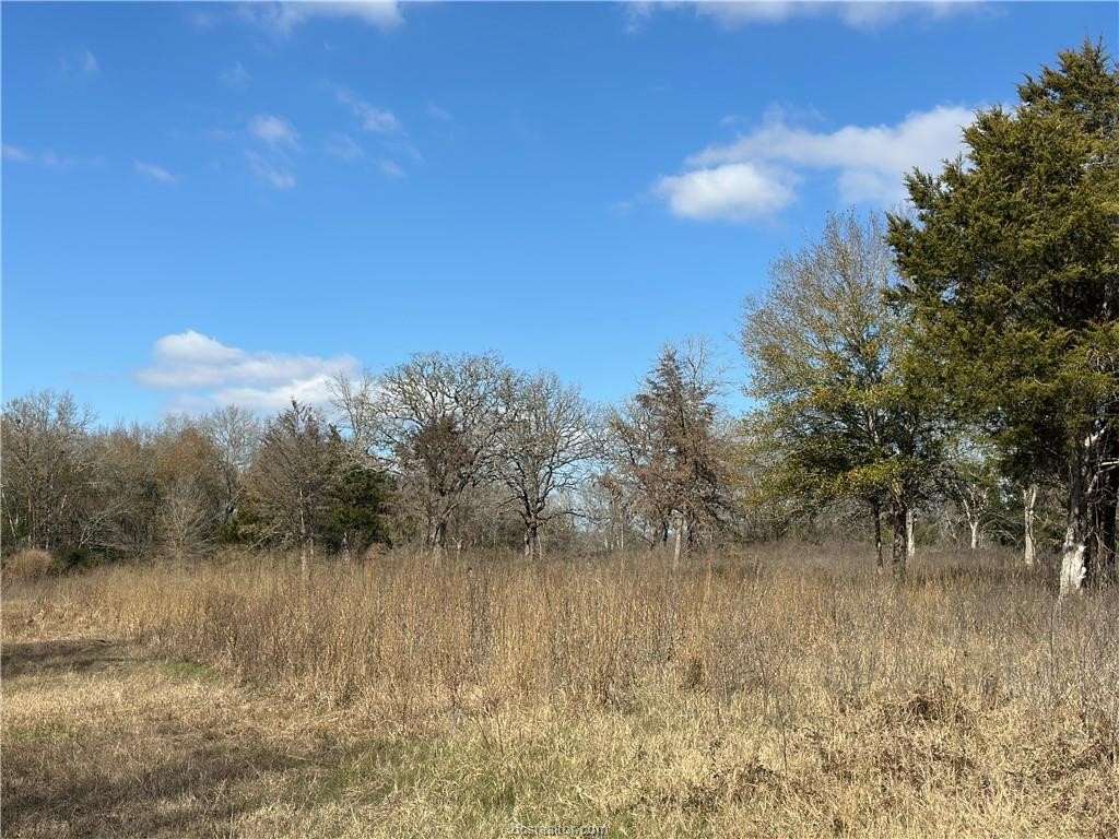 10986 Fm 391 Property Photo 4