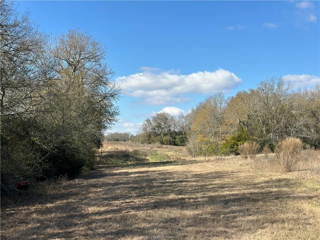 10986 Fm 391 Property Photo 5
