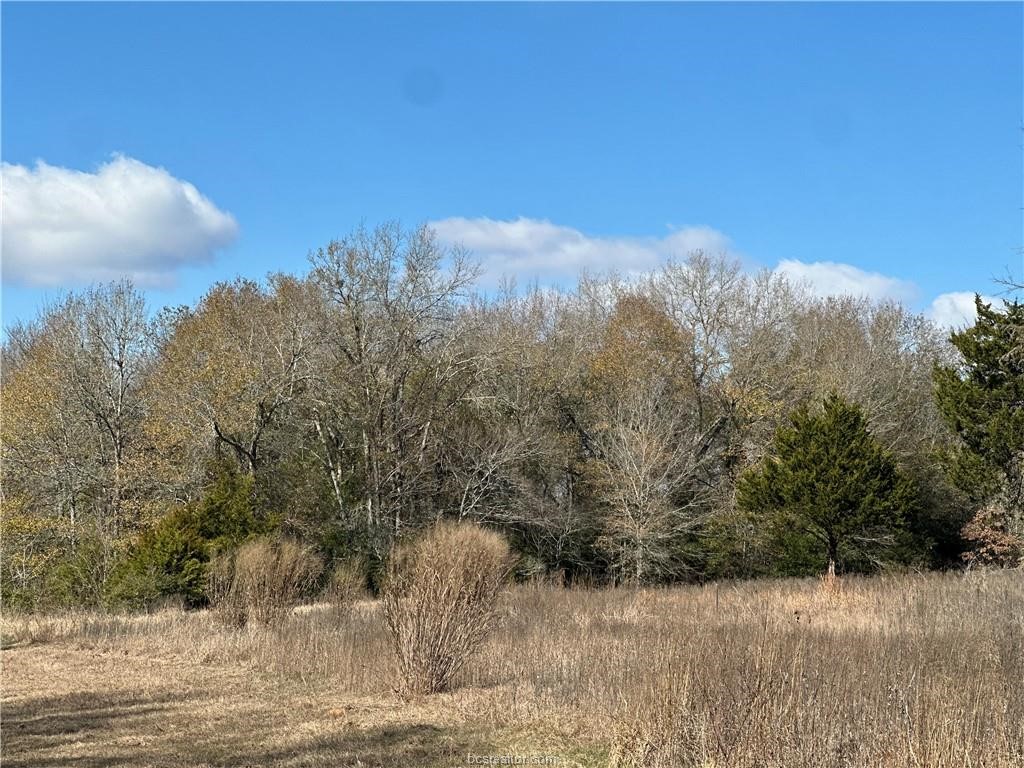 10986 Fm 391 Property Photo 8
