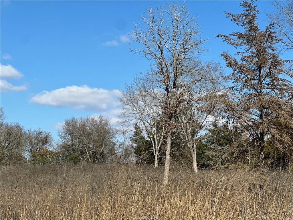 10986 Fm 391 Property Photo 9