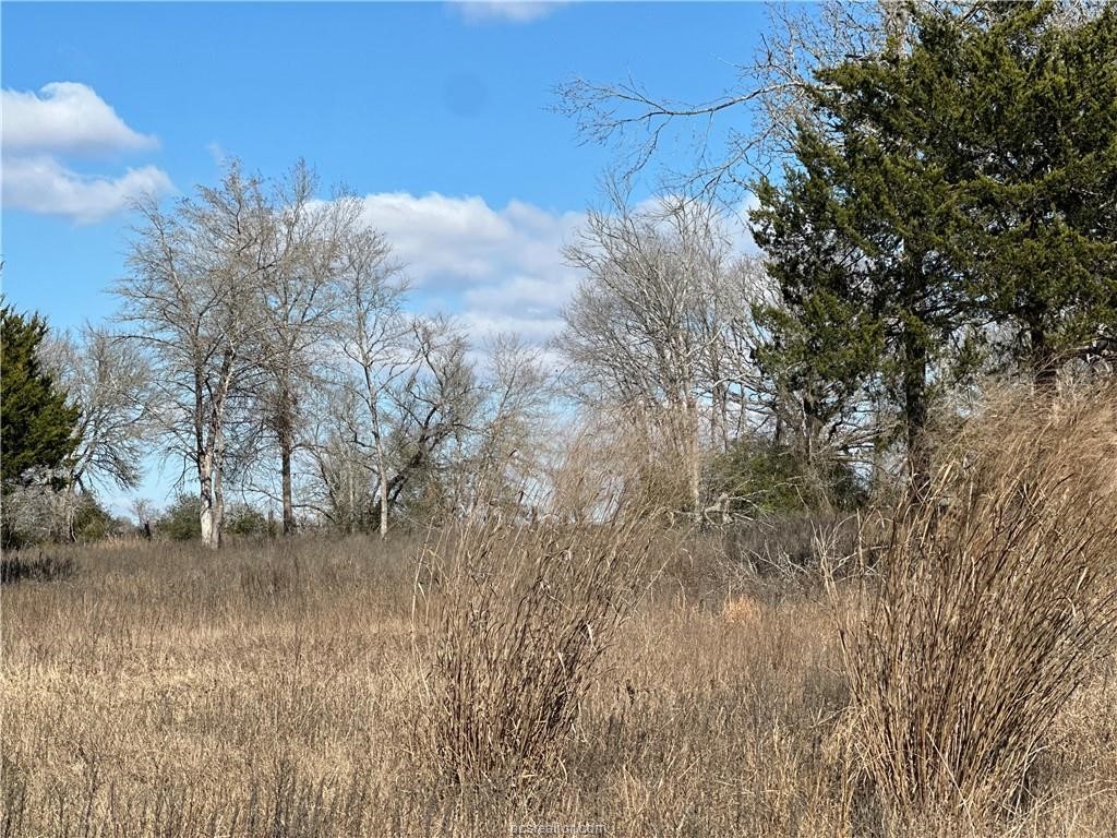 10986 Fm 391 Property Photo 11